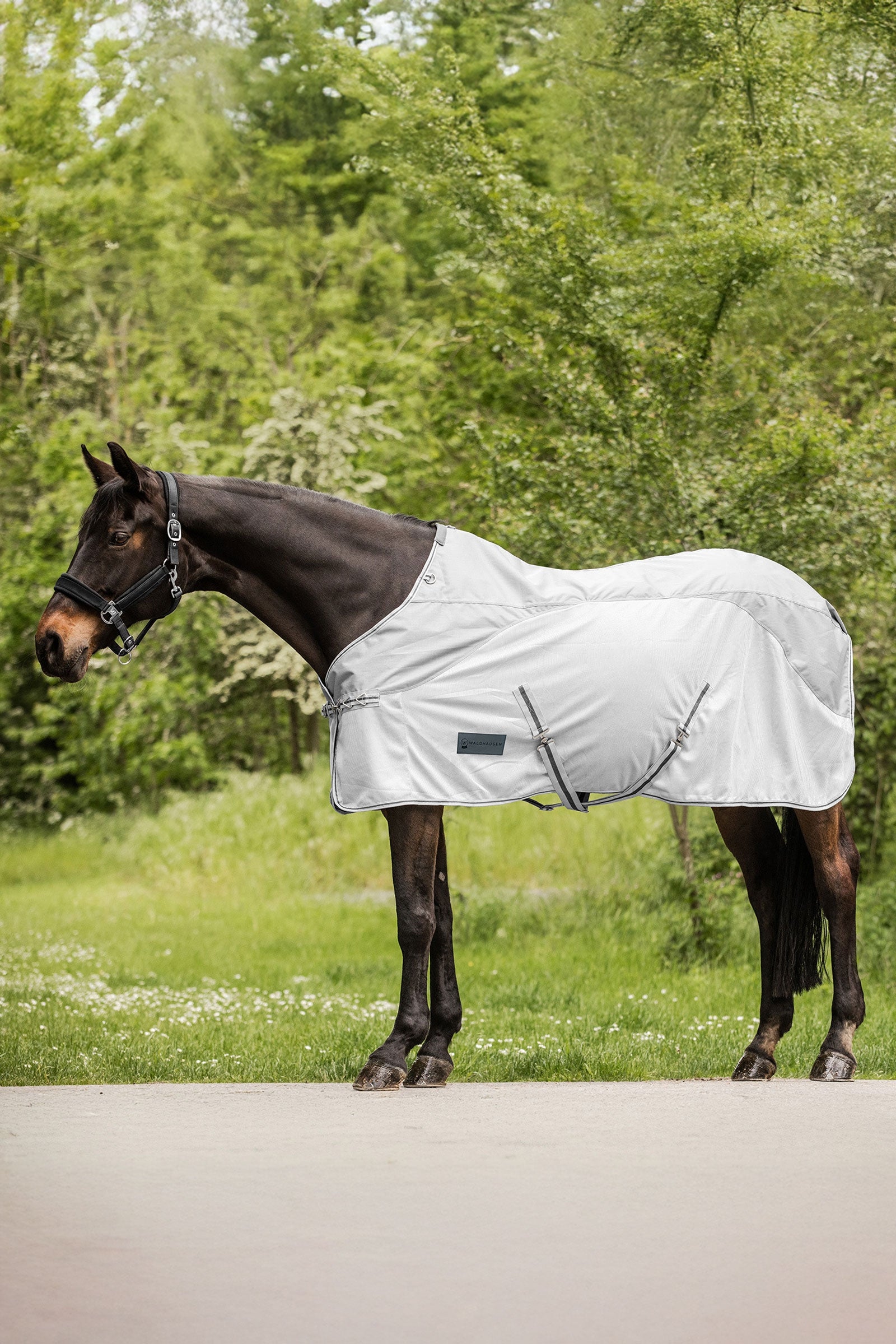 Waldhausen Protect vliegendeken met regendek Paardendekens