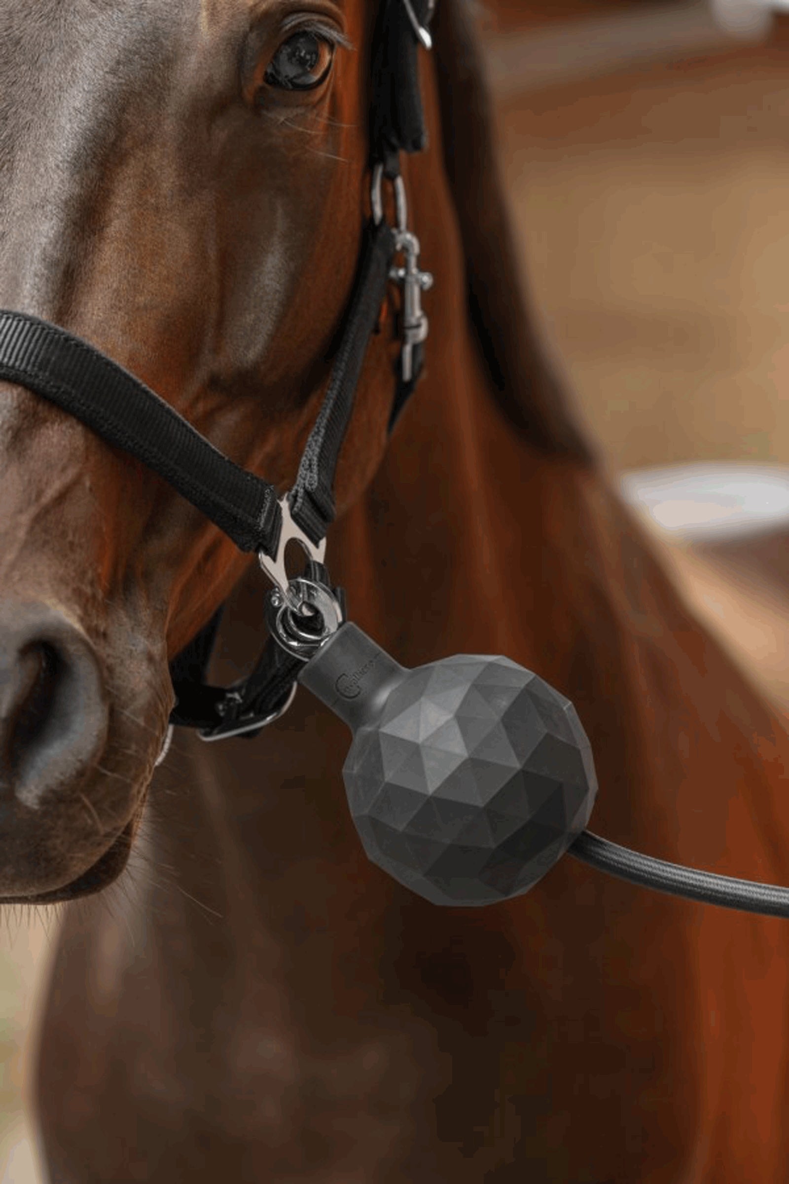 Covalliero Tethering Protection Rubber Ball Safety Equipment