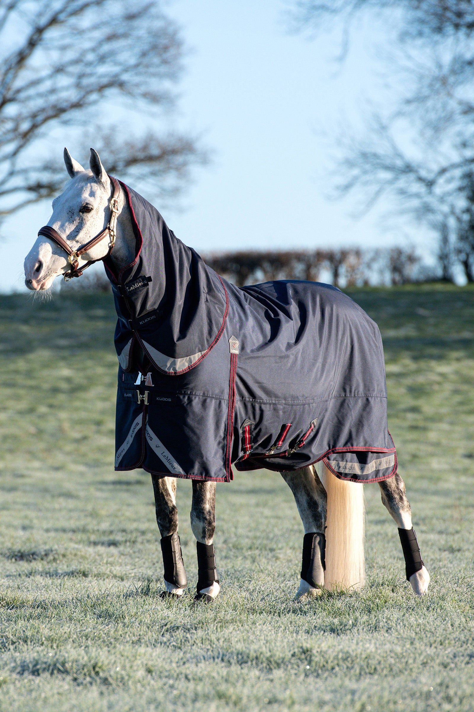 LeMieux Kudos lichte regendeken 100g Paardendekens