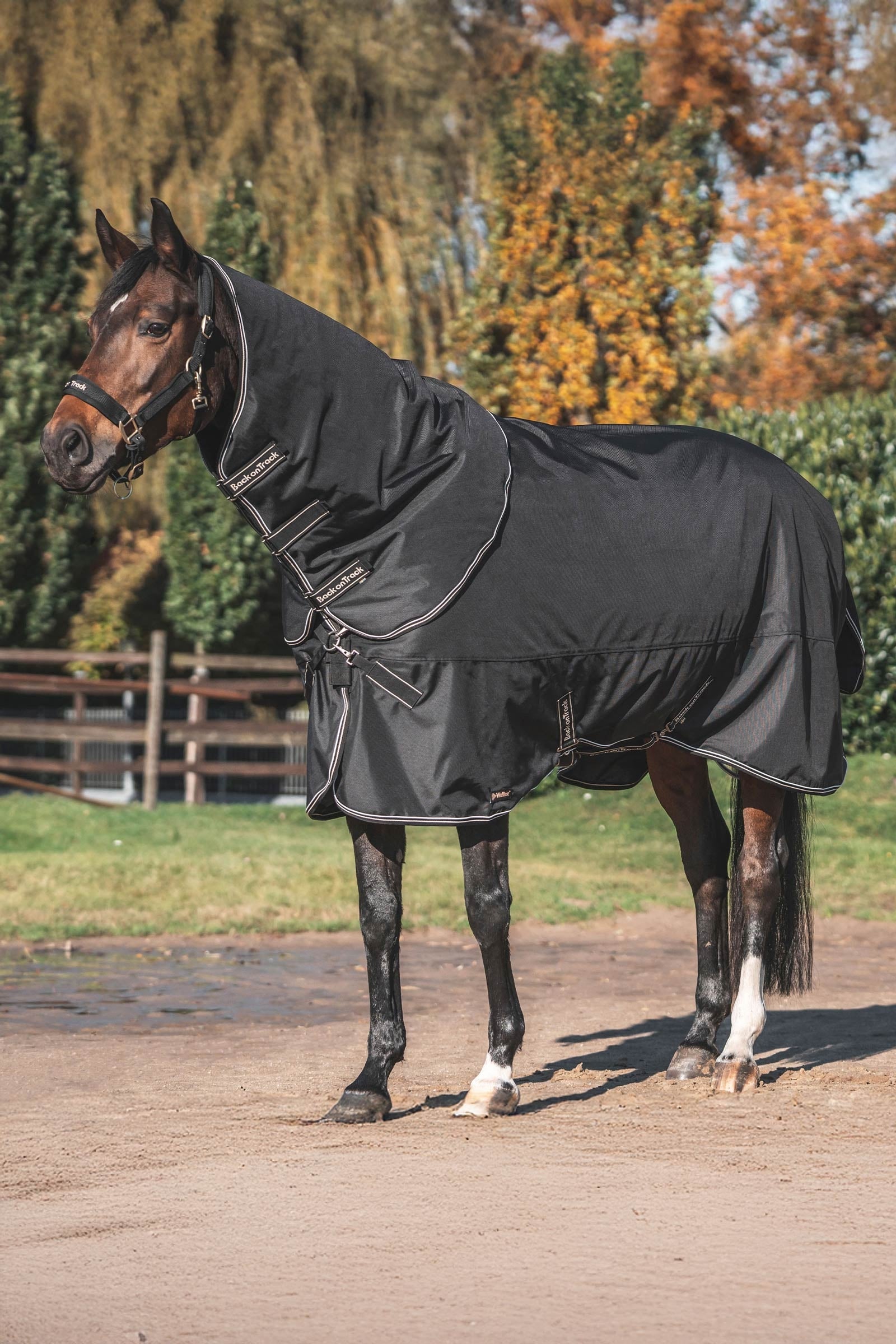 Back on Track Obsidian Outdoordeken met afneembaar halsstuk, 150g Paardendekens