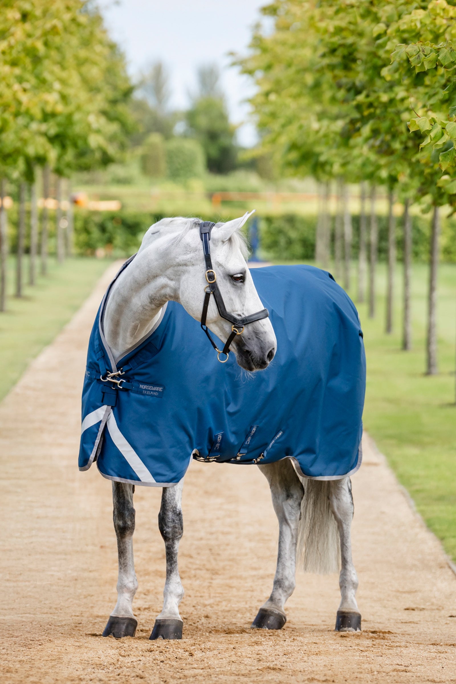Horseware Ionic Therapy Outdoordeken, 100g Paardendekens