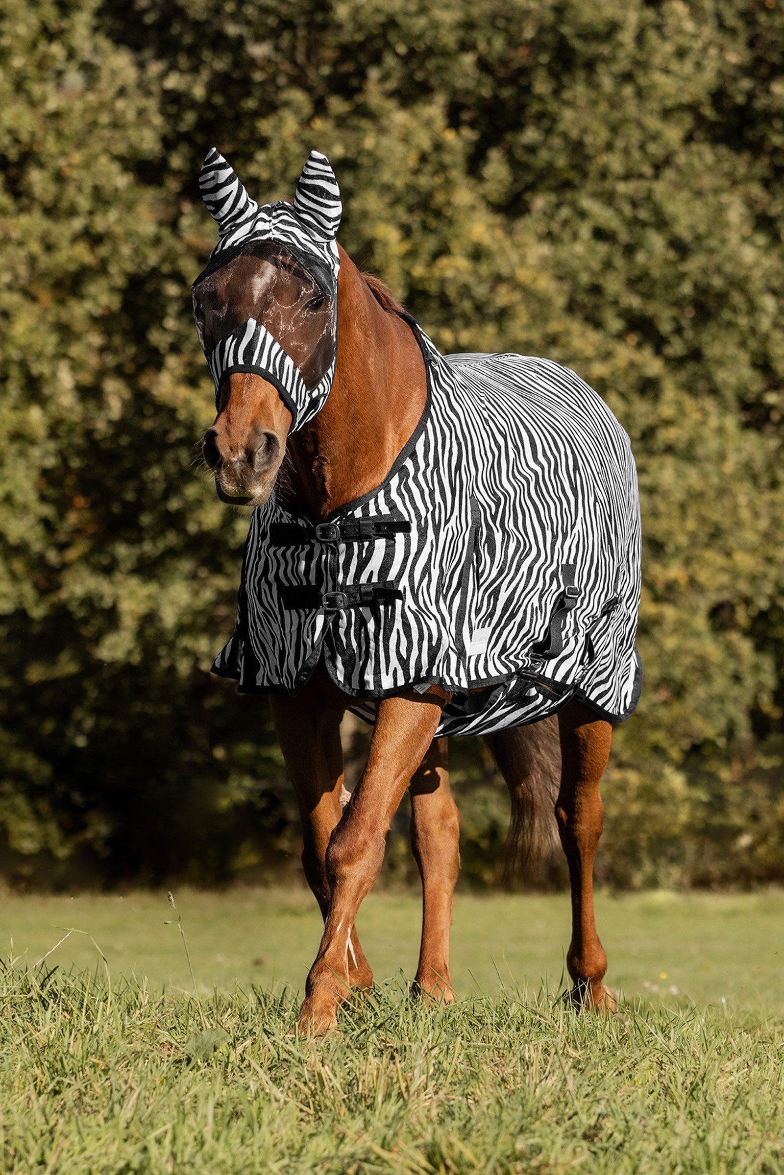 Waldhausen Zebra vliegendeken met rechte singels Paardendekens