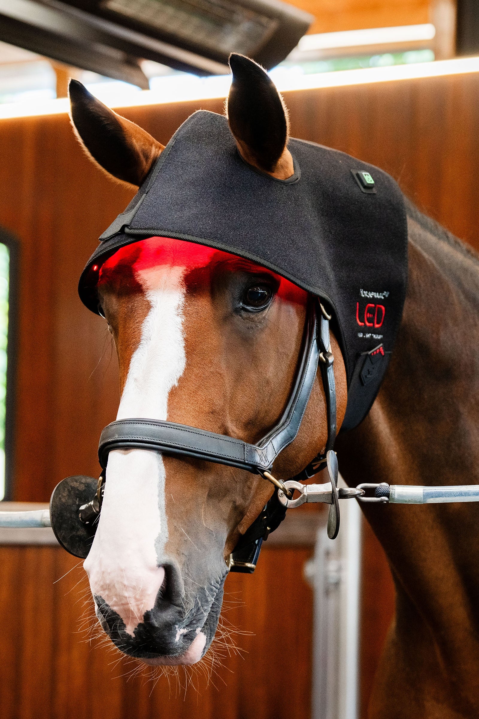 Horseware LED roodlichttherapie nekcap Paardendekens