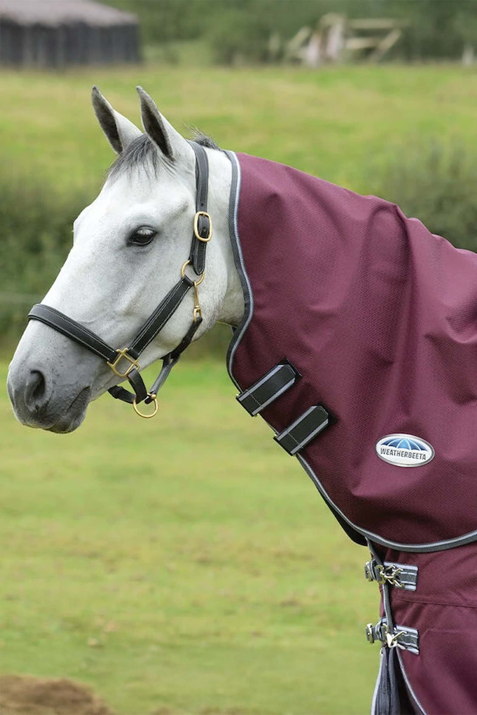 Weatherbeeta Comfitec Plus Dynamic II Nek Lite, 0g Paardendekens