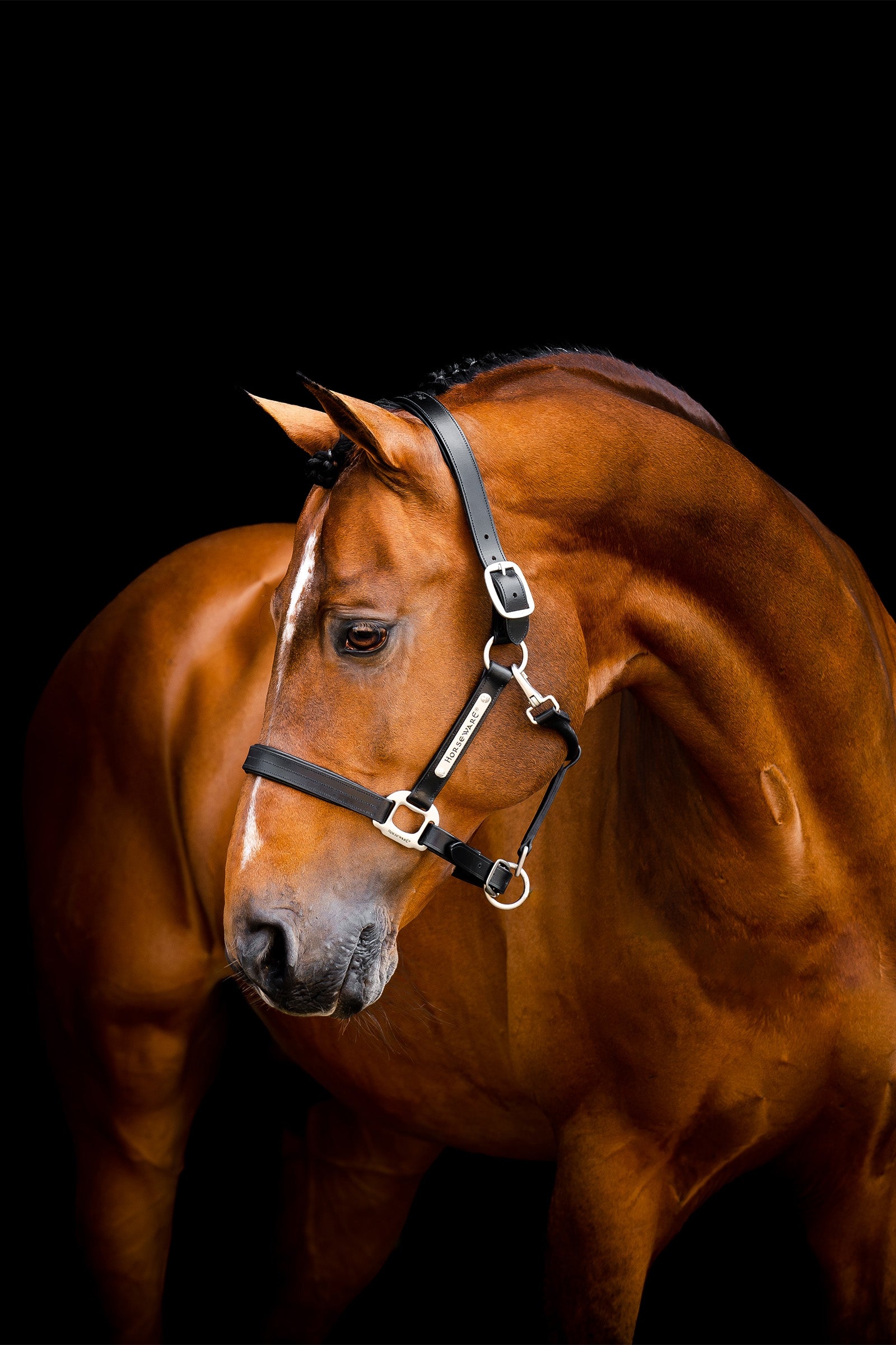 Horseware Handtekening leren halster Halsters & Halstertouwen