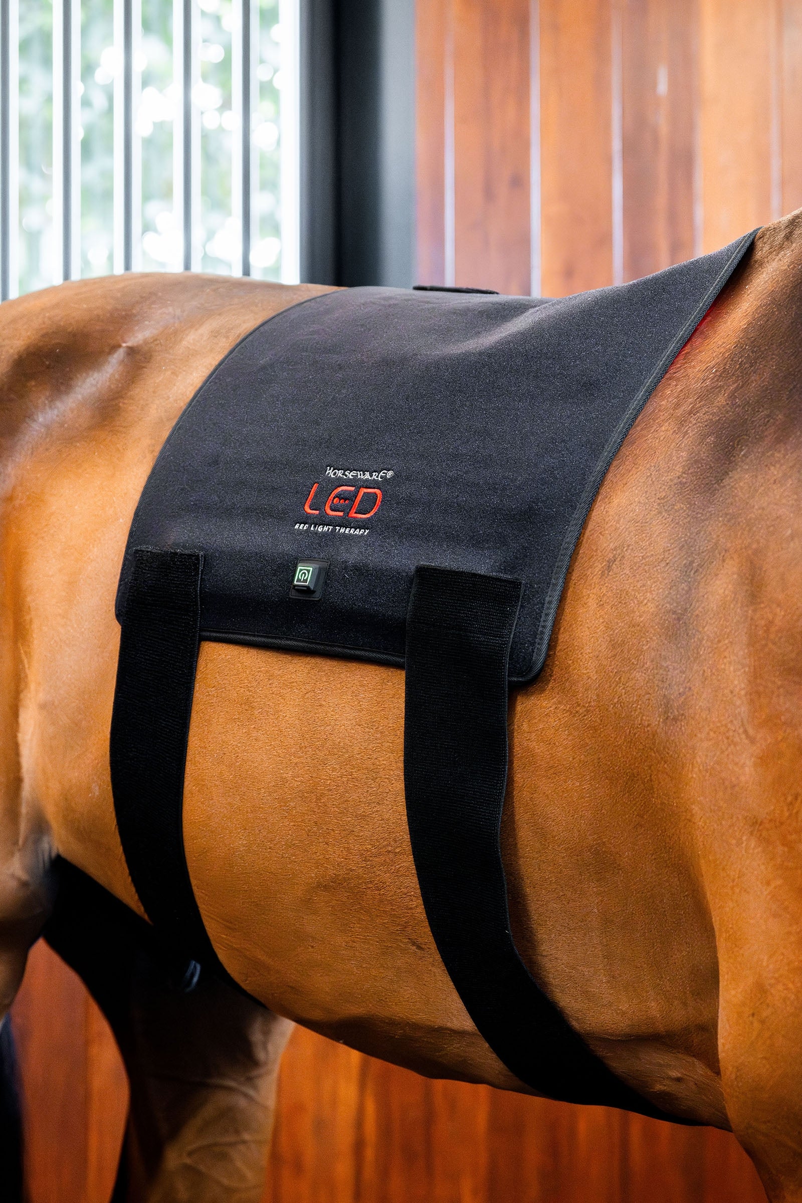 Horseware LED roodlichttherapie Pad Paardendekens
