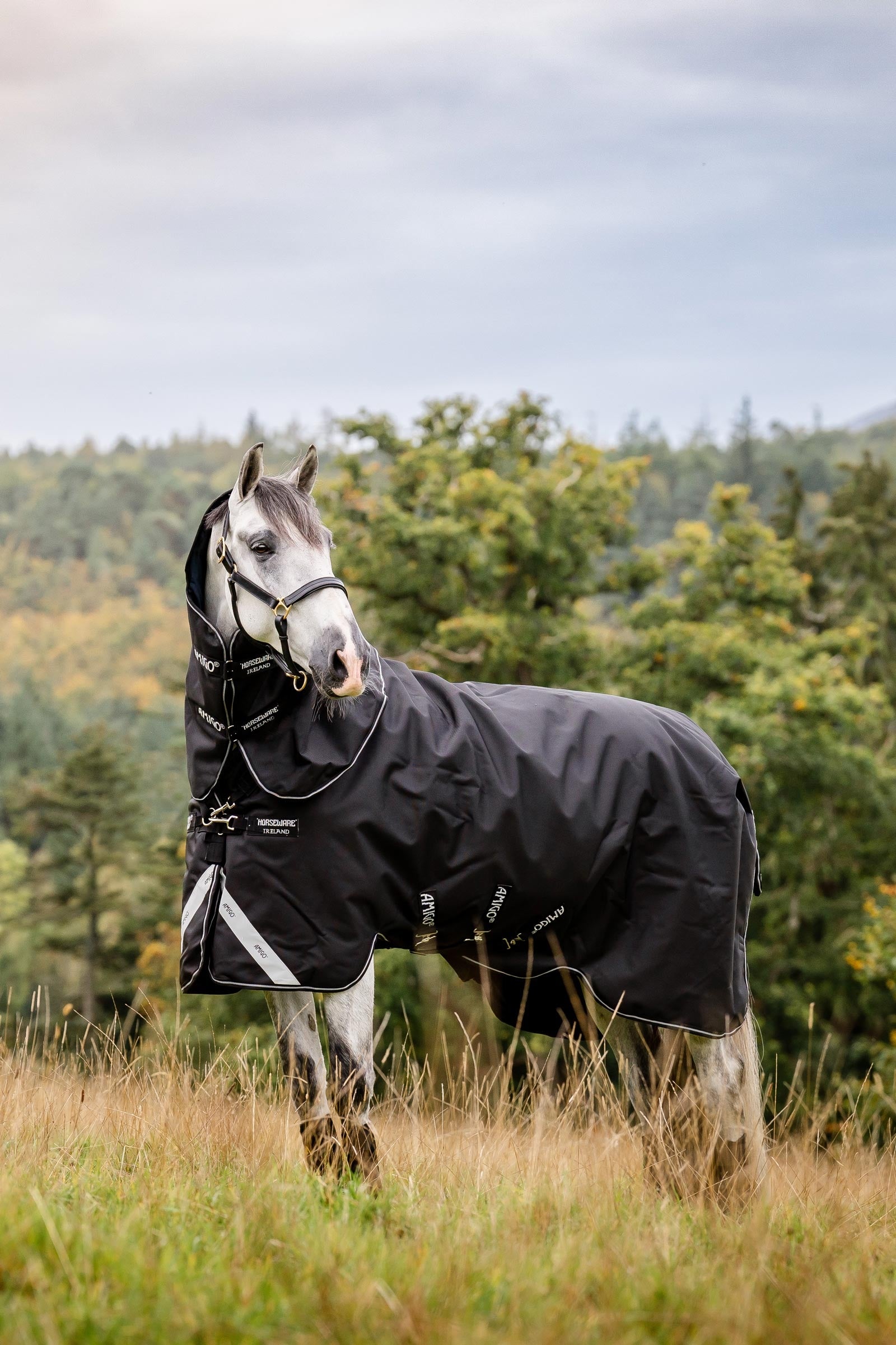 Horseware Amigo Super Bravo Plus buitendeken met afneembaar halsteil, 250 g Paardendekens