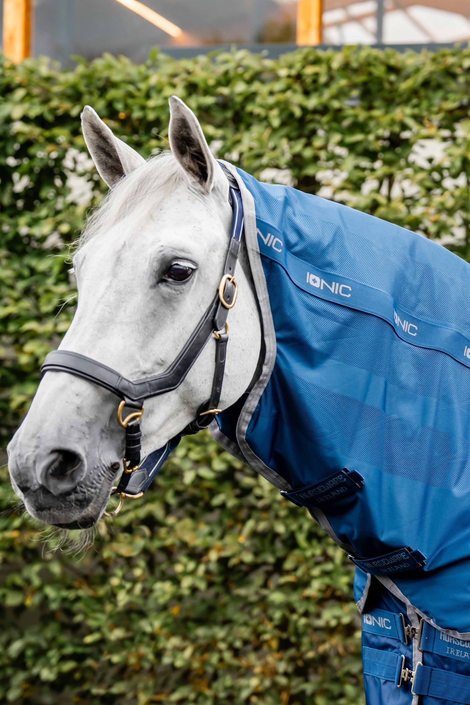 Horseware Ionic Therapy Halsdeel voor Mesh Cooler deken Paardendekens