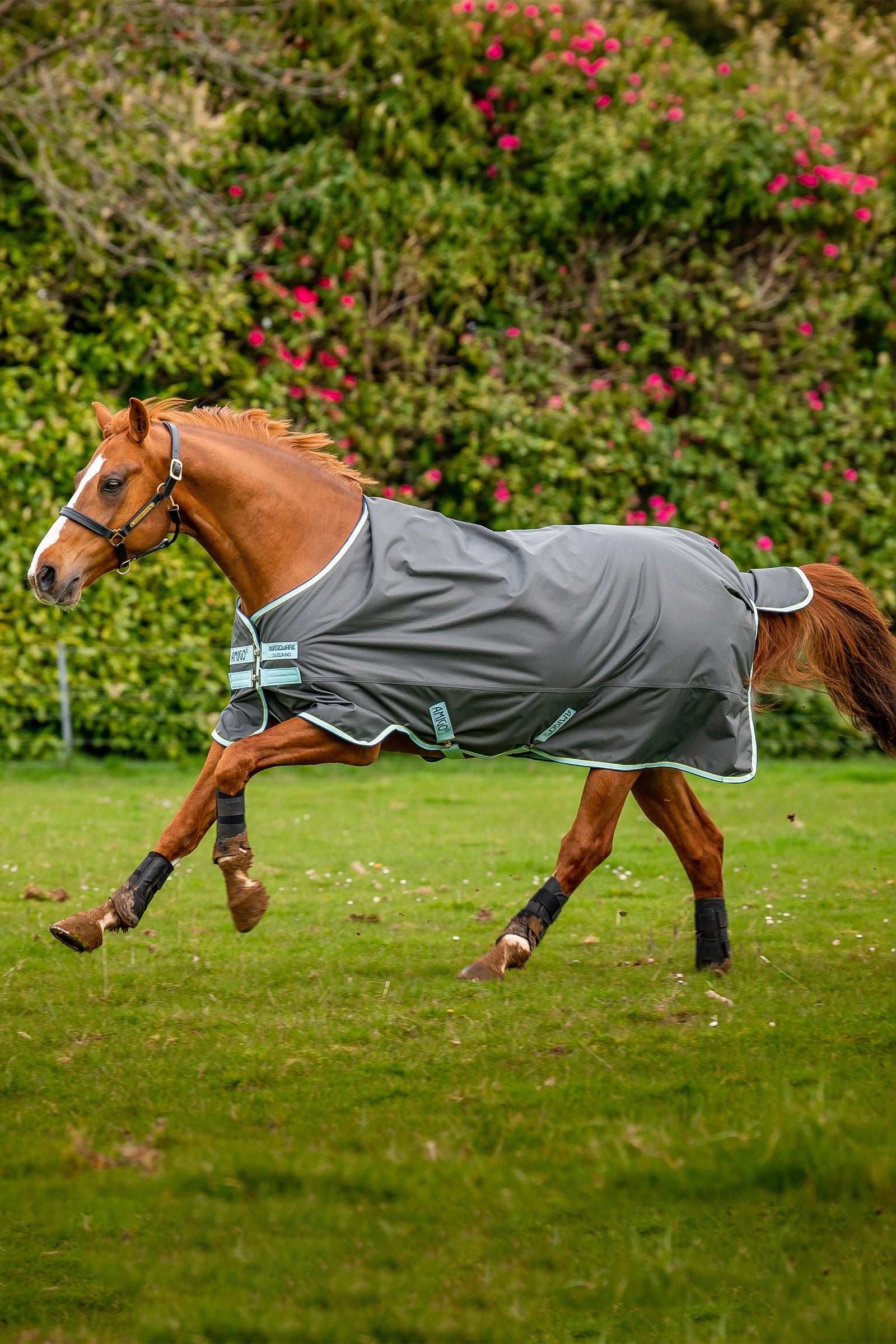 Horseware Amigo Hero Ripstop udedækken med fleeceforing, 50g Paardendekens