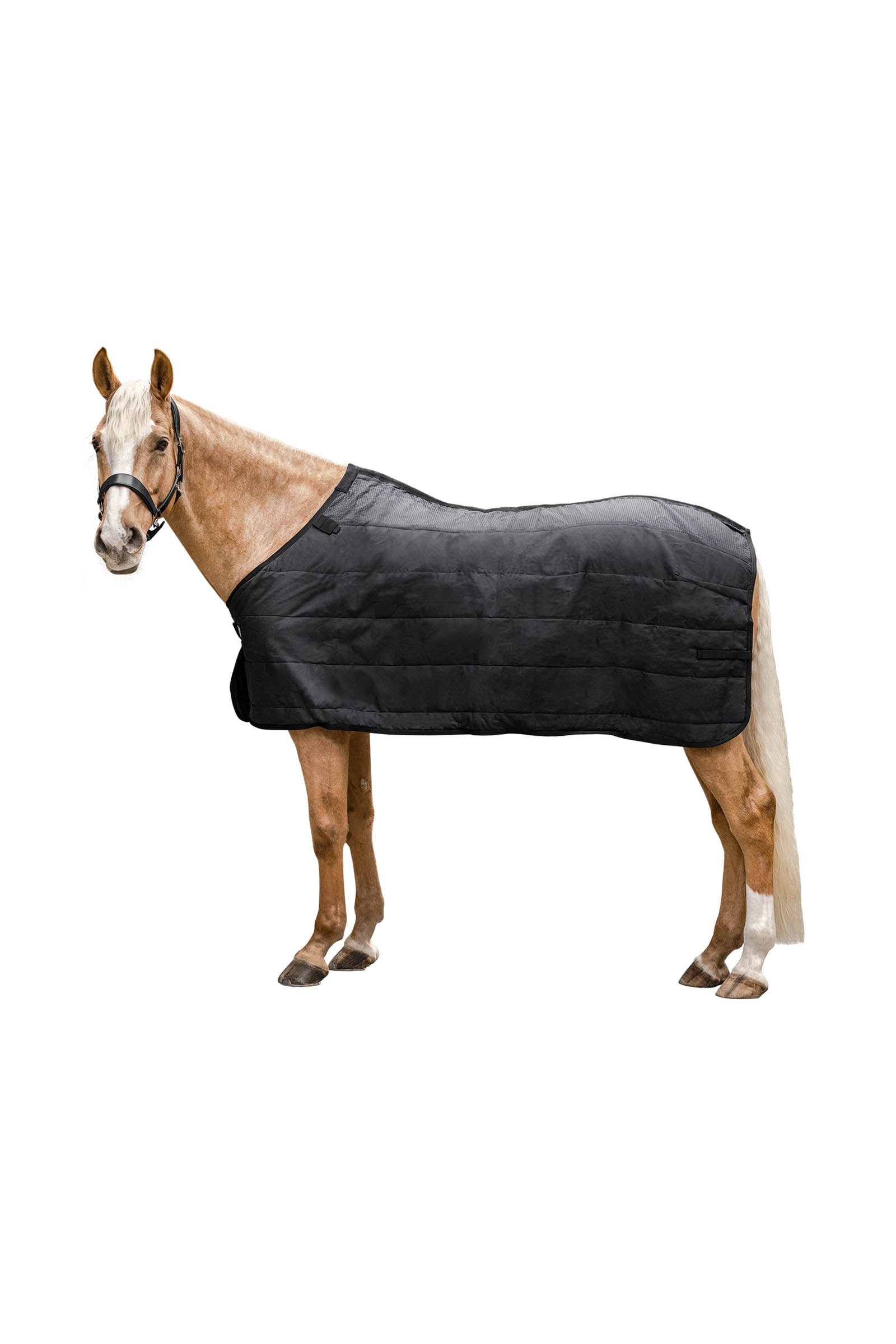 Waldhausen Thermo Underrug 100 g Paardendekens