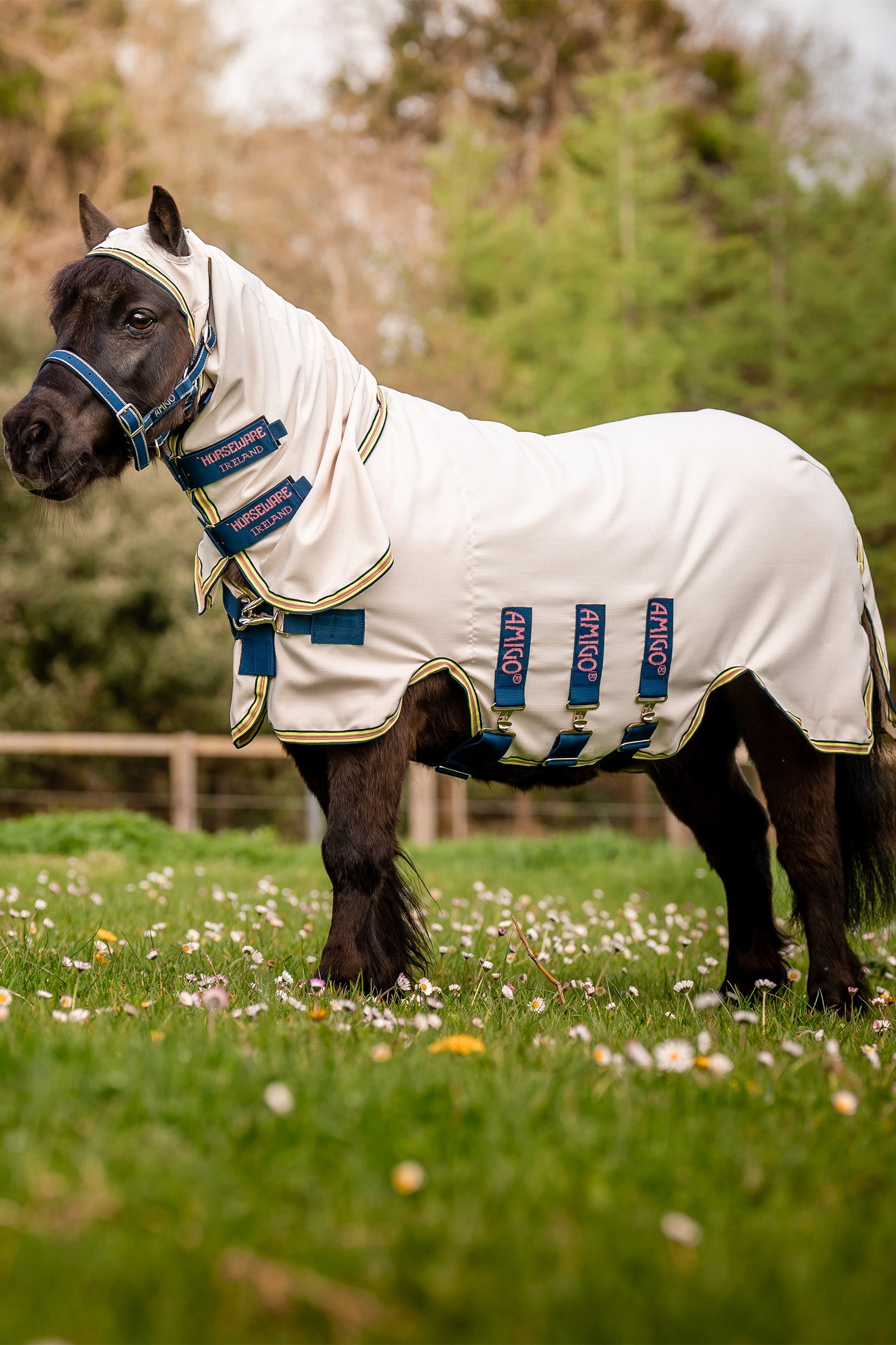Horseware Amigo Ripstop Petite Hoody Horse Rugs