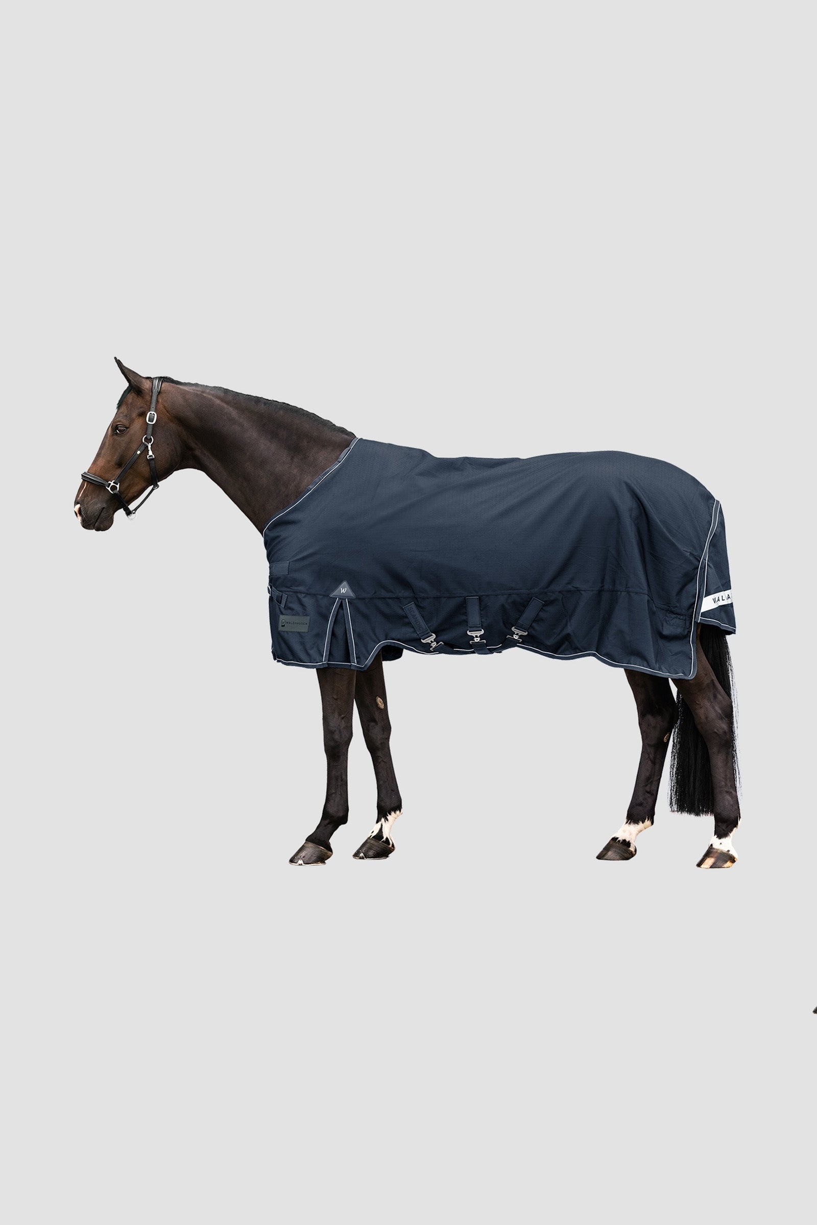 Waldhausen Outdoor Rug Scandic 300 g Paardendekens