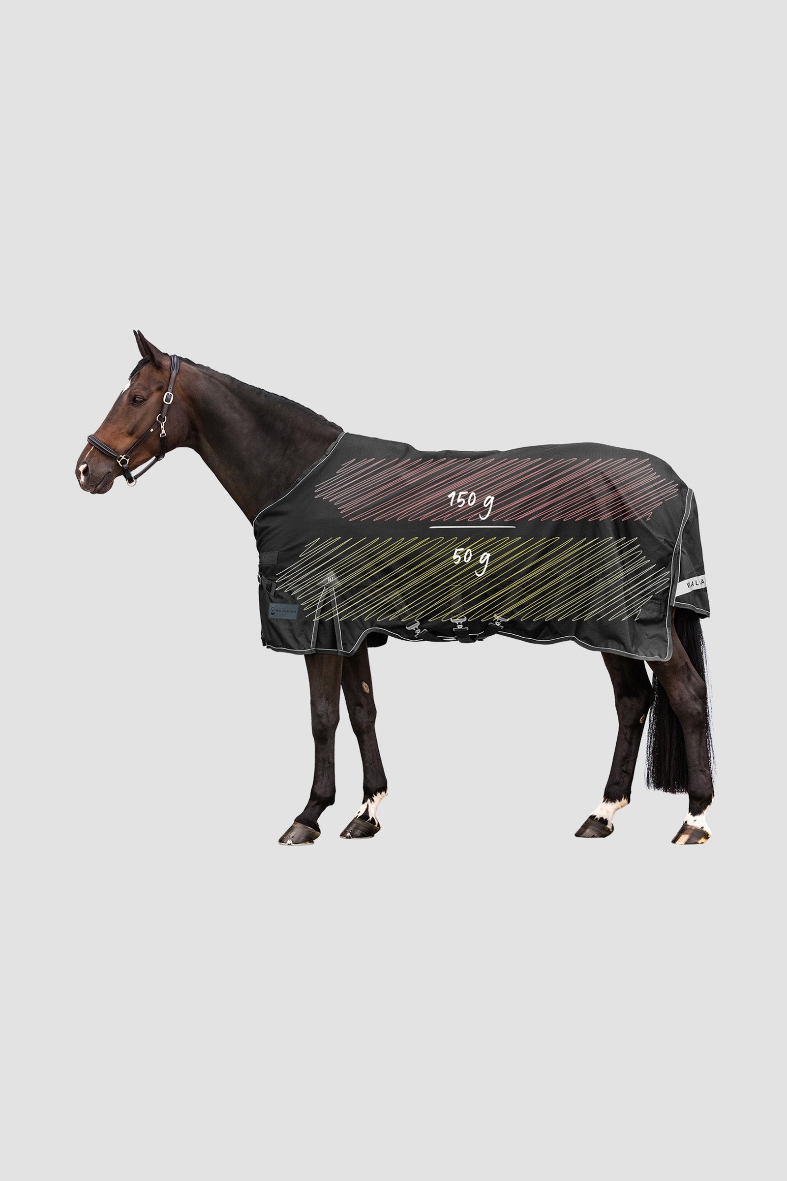 Waldhausen Outdoor Rug Scandic Multi-Layer 150g/50g Horse Rugs