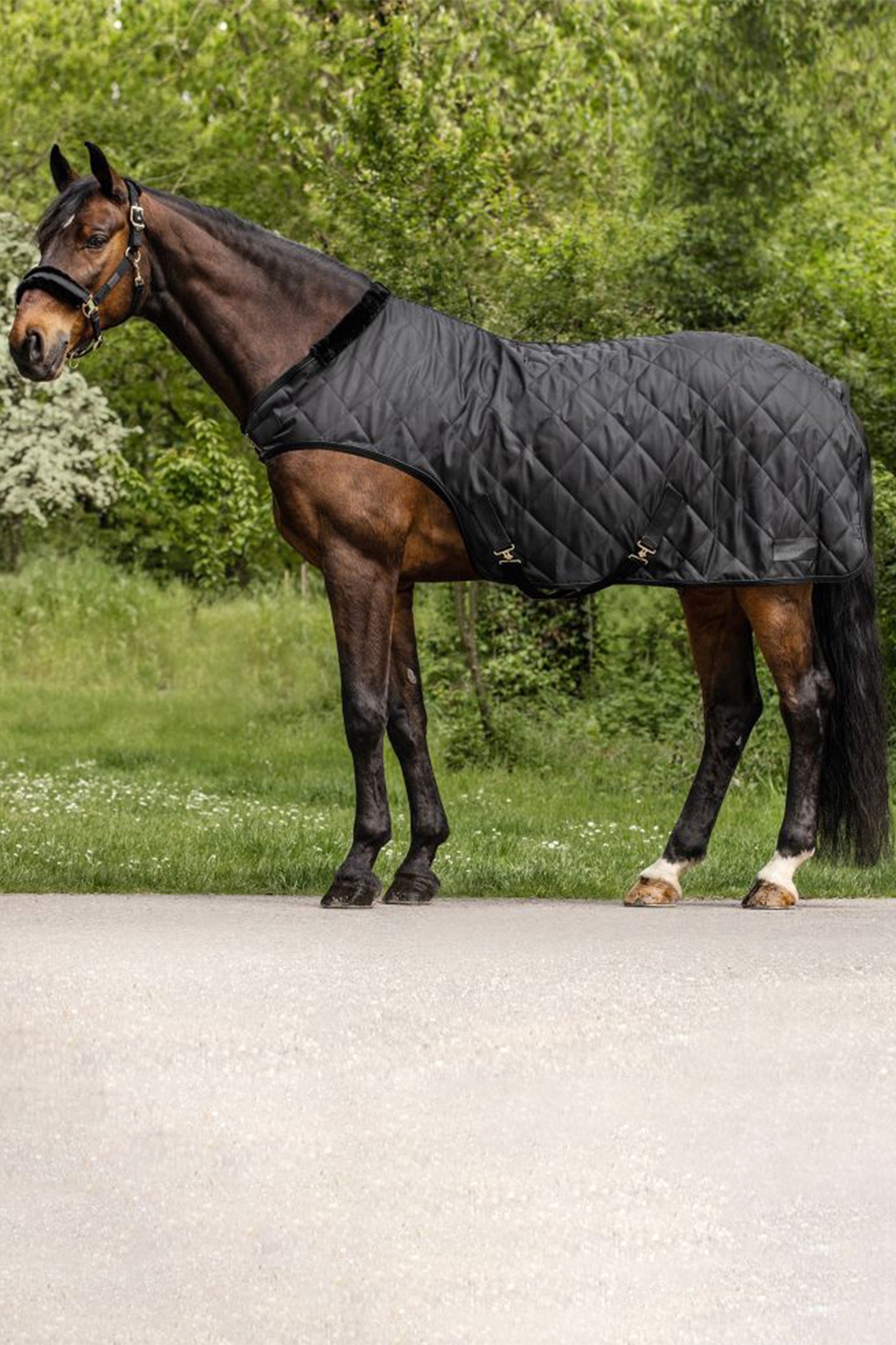 Waldhausen Führmaschinendecke Exclusive, 50 g Paardendekens
