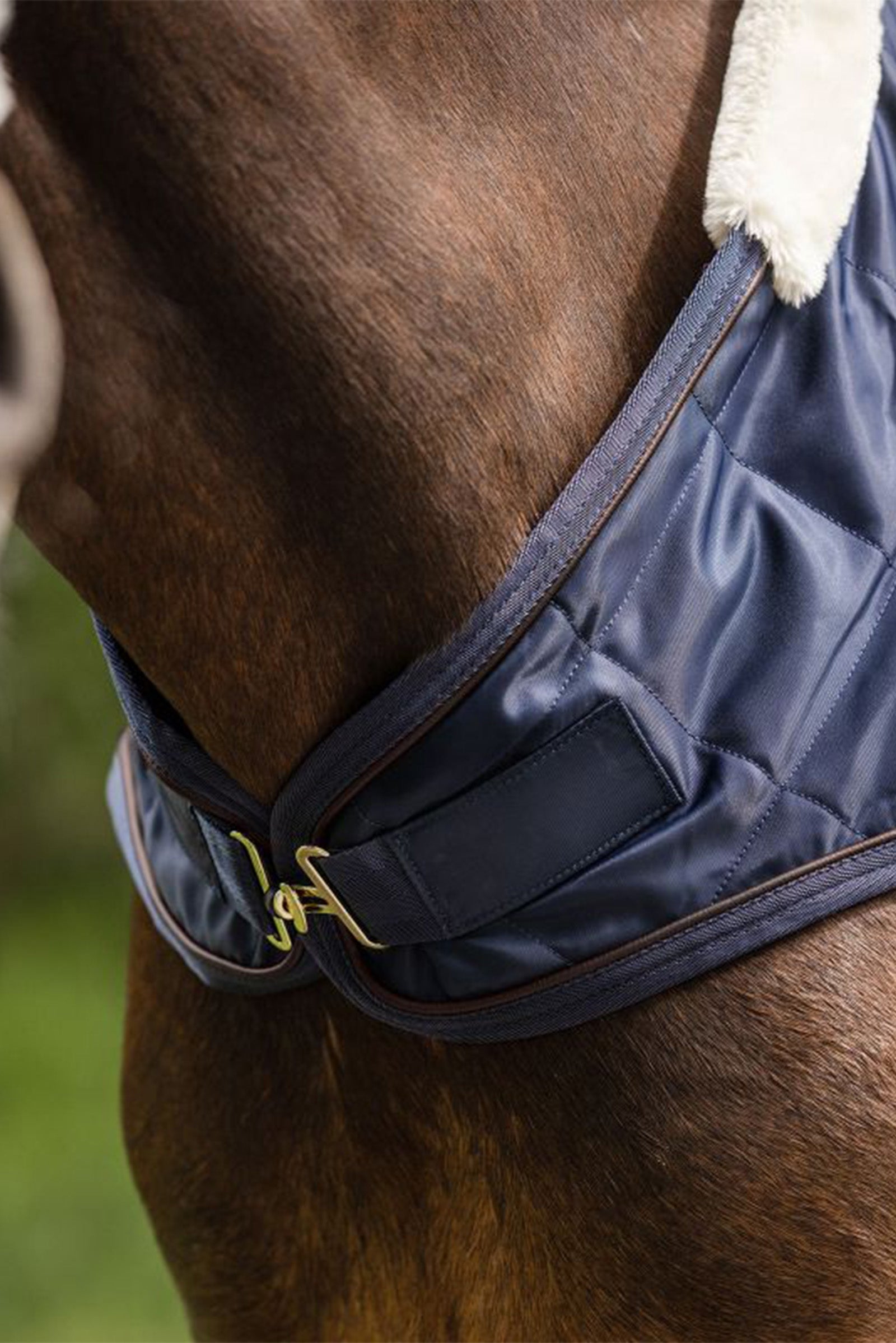 Waldhausen Exclusive Horsewalker Sheet, 50g Horse Rugs