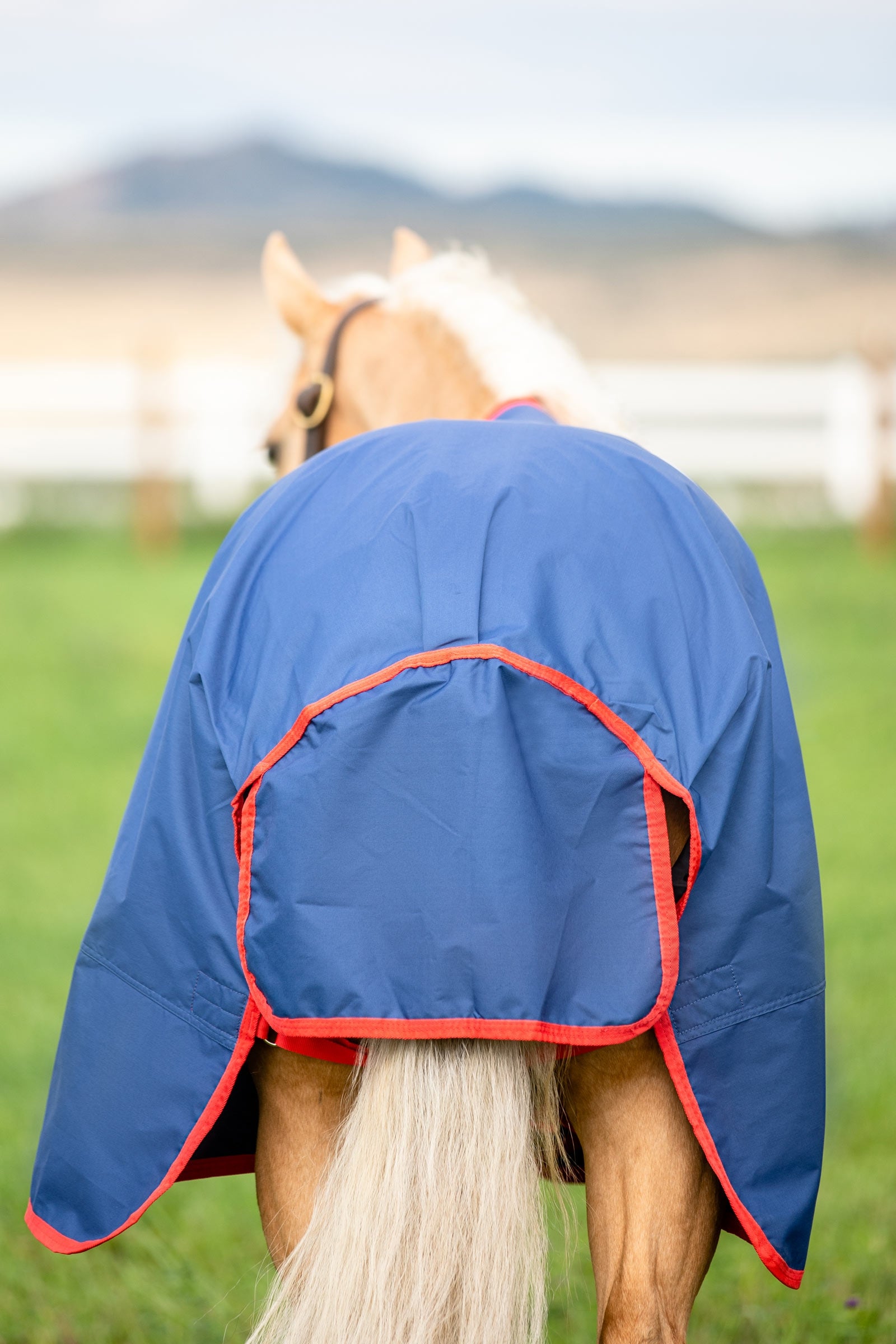 Horseware Mio Turnout Rug, 0g Horse Rugs
