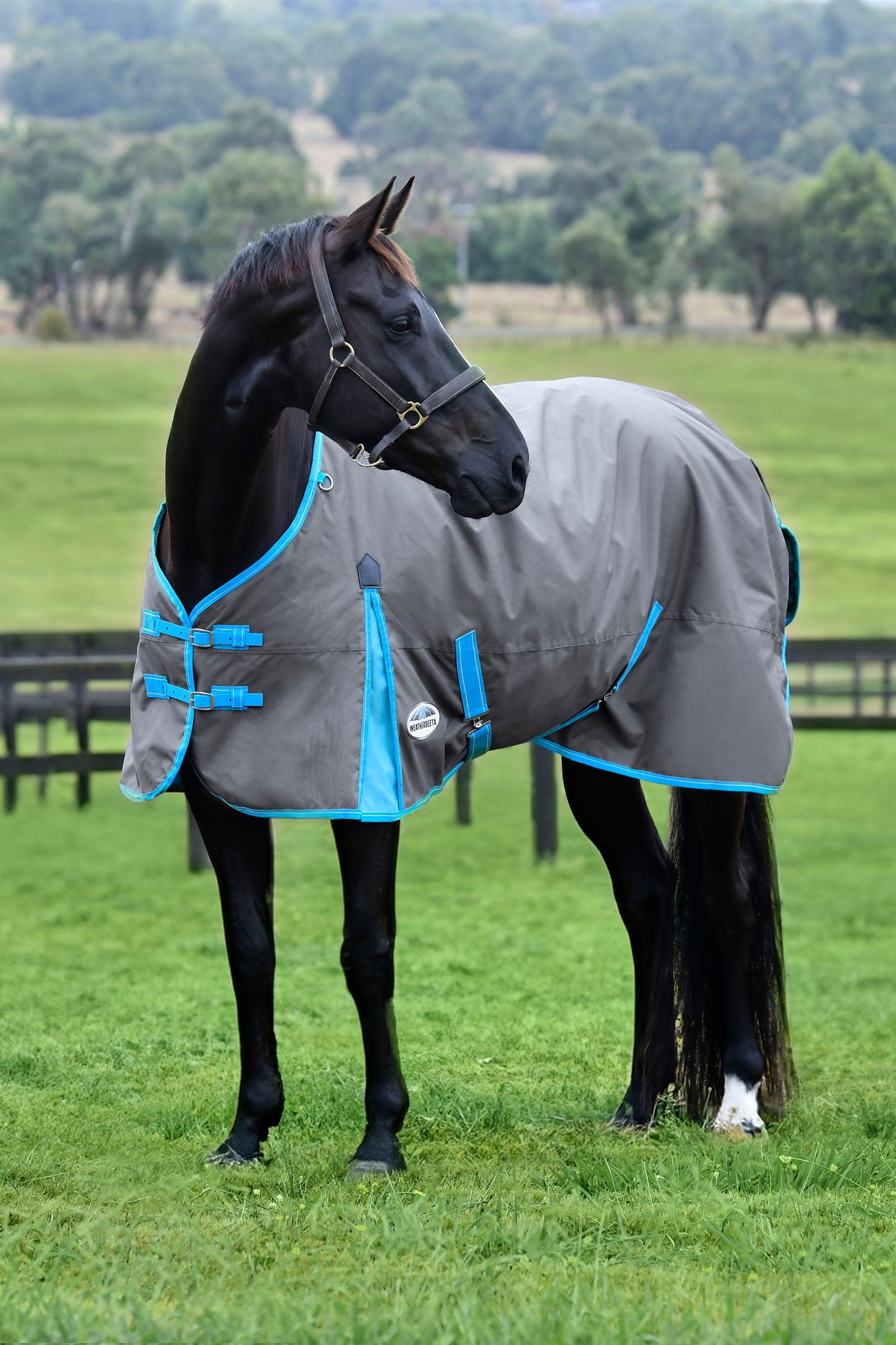 Weatherbeeta Comfitec Classic Turnout Rug, 0g Horse Rugs