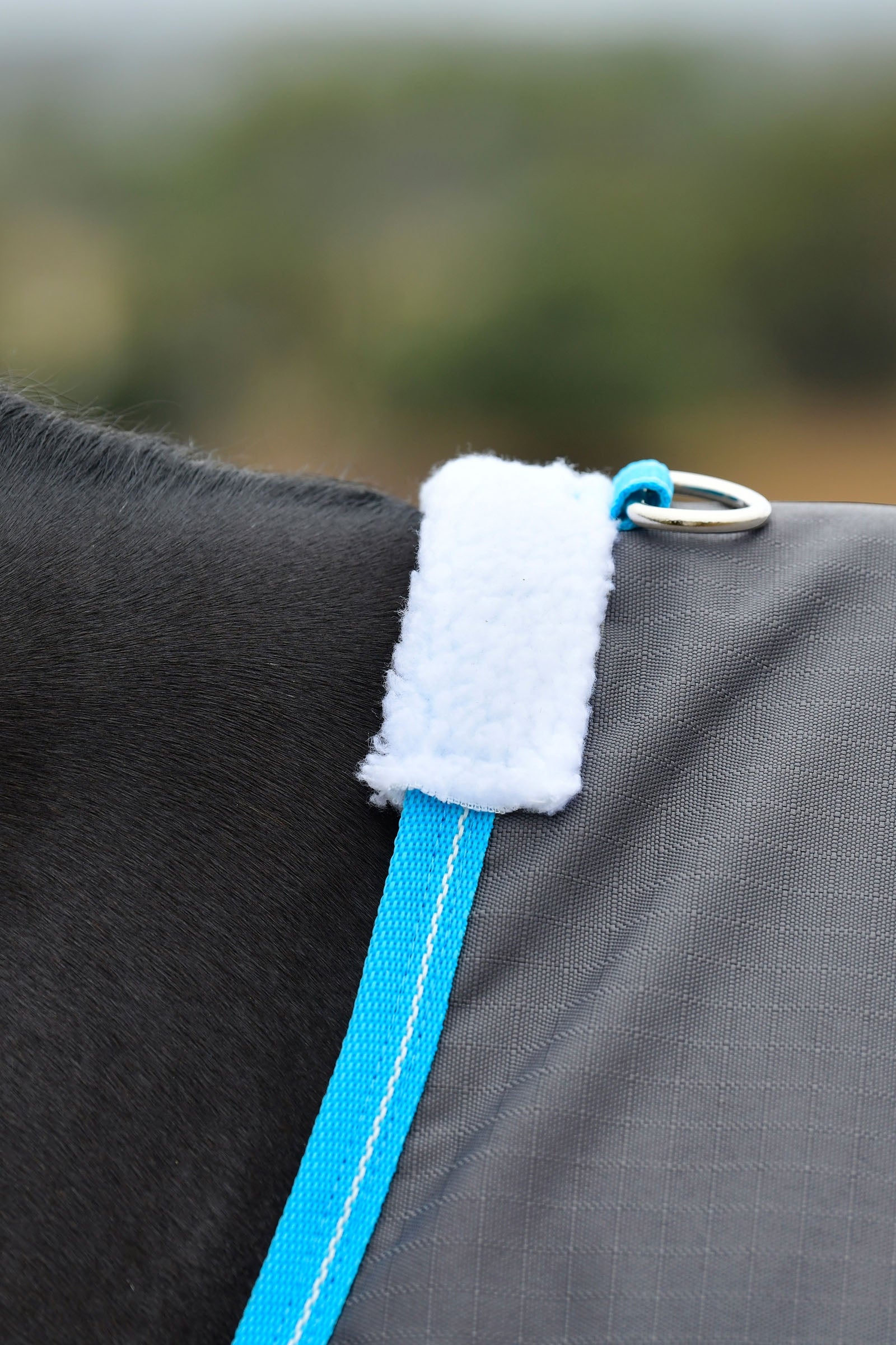 Weatherbeeta Comfitec Classic Turnout Rug, 0g Horse Rugs