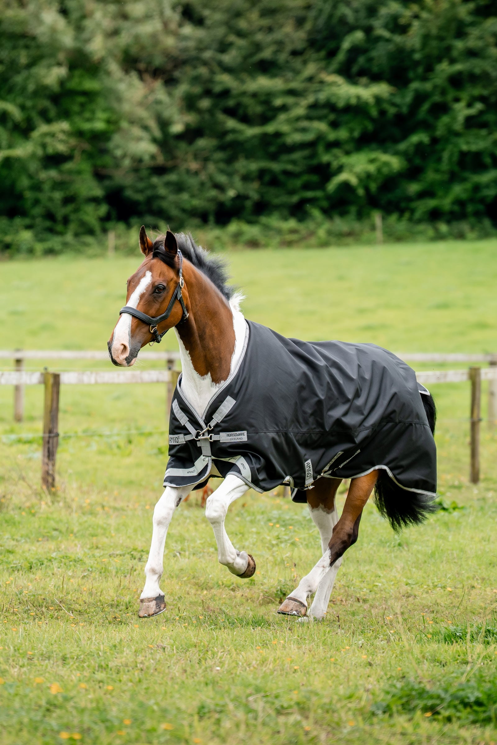 Horseware Amigo 1200D regendeken, 50 g Paardendekens