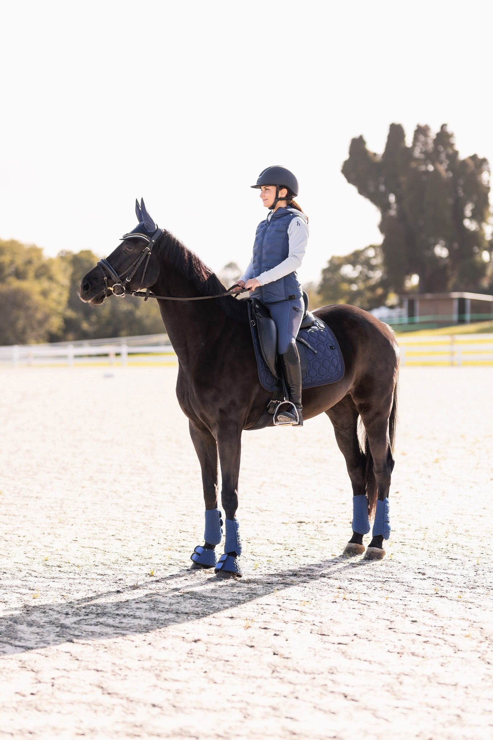 Horze Urban Vitality Dressage Saddle Pad Saddle Pads