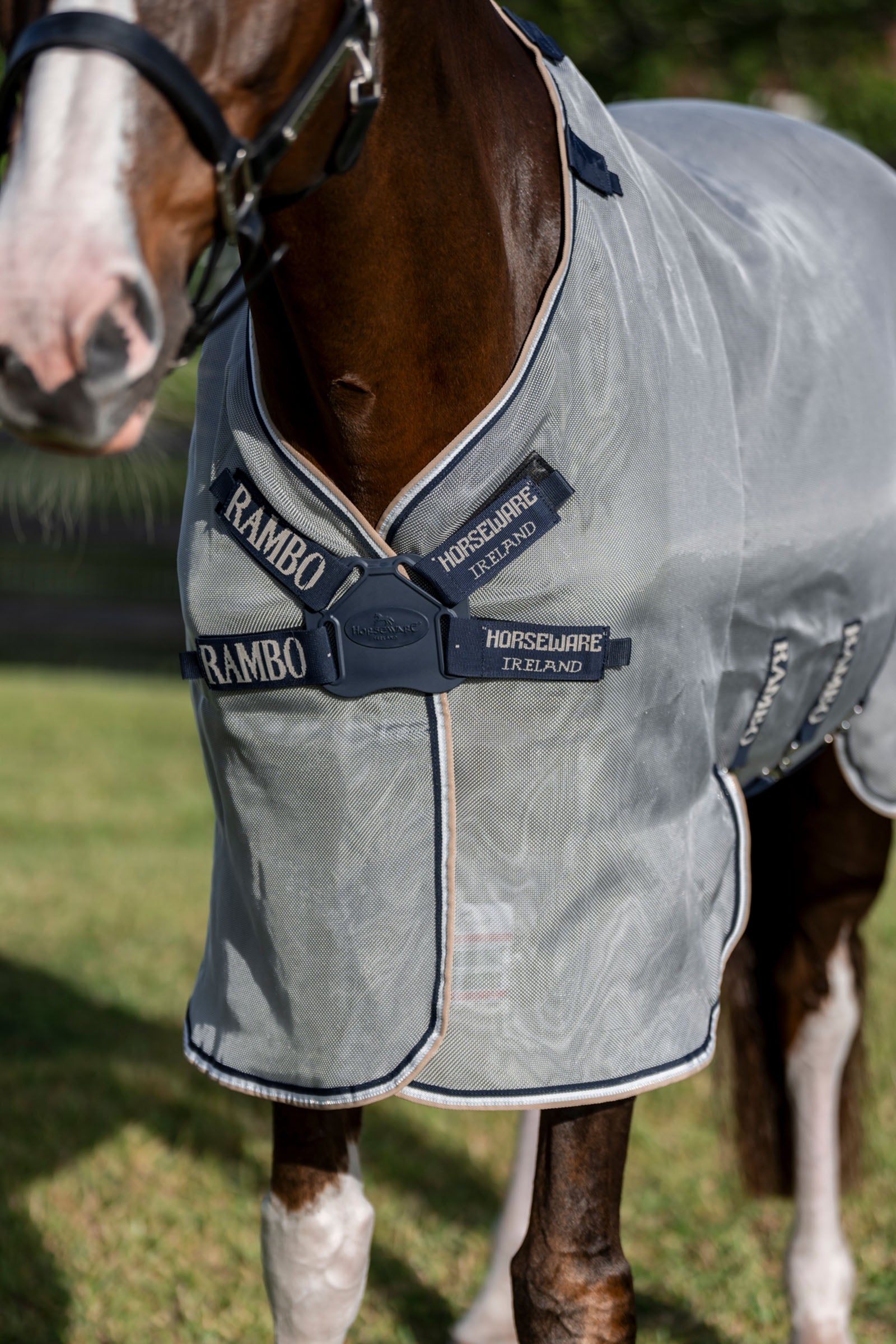 Horseware Rambo Protector Fieldsafe Plus Horse Rugs