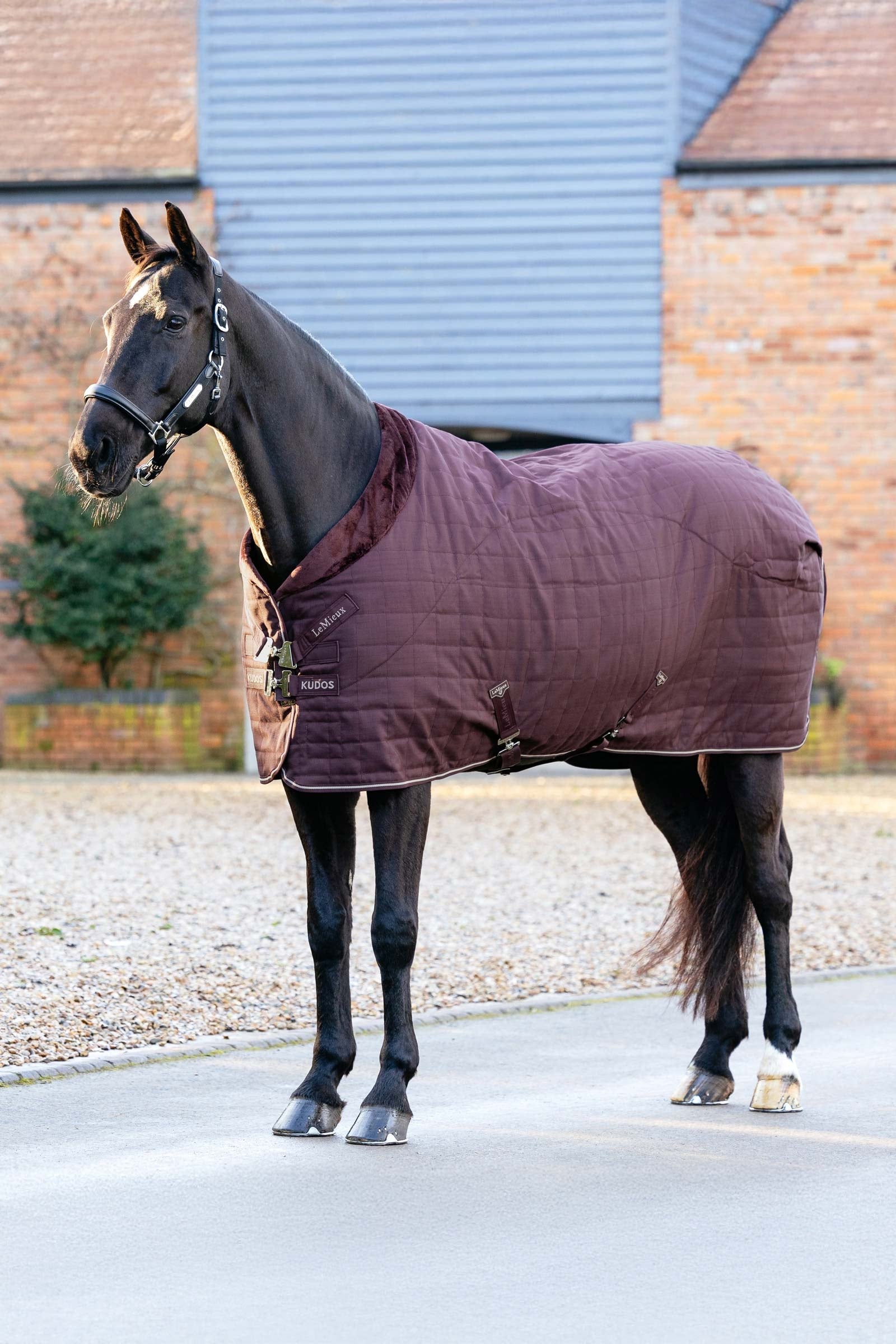 LeMieux Kudos Luxe gevoerde staldeken, 100 g Paardendekens