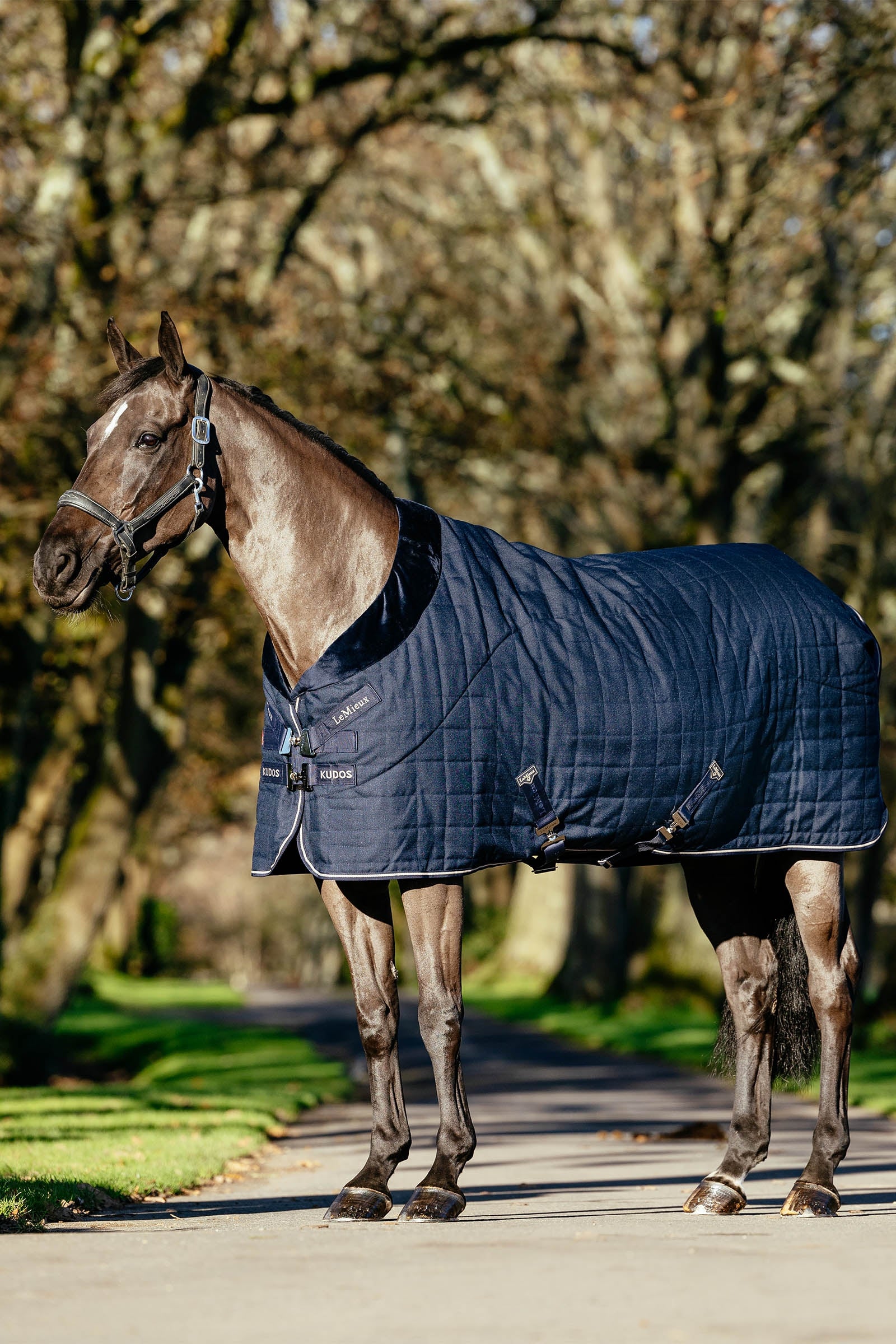 LeMieux Kudos Luxe gevoerde staldeken, 100 g Paardendekens