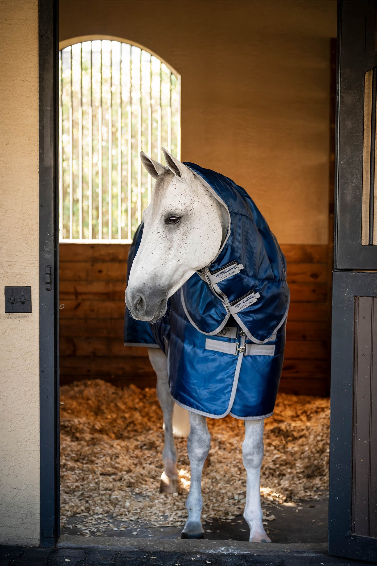 Horseware Amigo Ripstop Insulator Plus Stable Rug, 200 g Horse Rugs