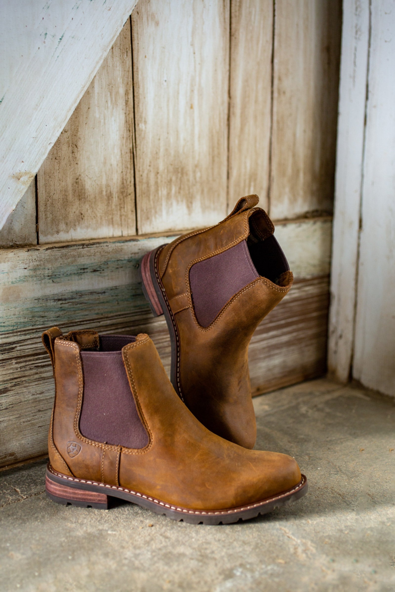 Ariat Women's Wexford Waterproof Boots Riding Boots & Riding Shoes