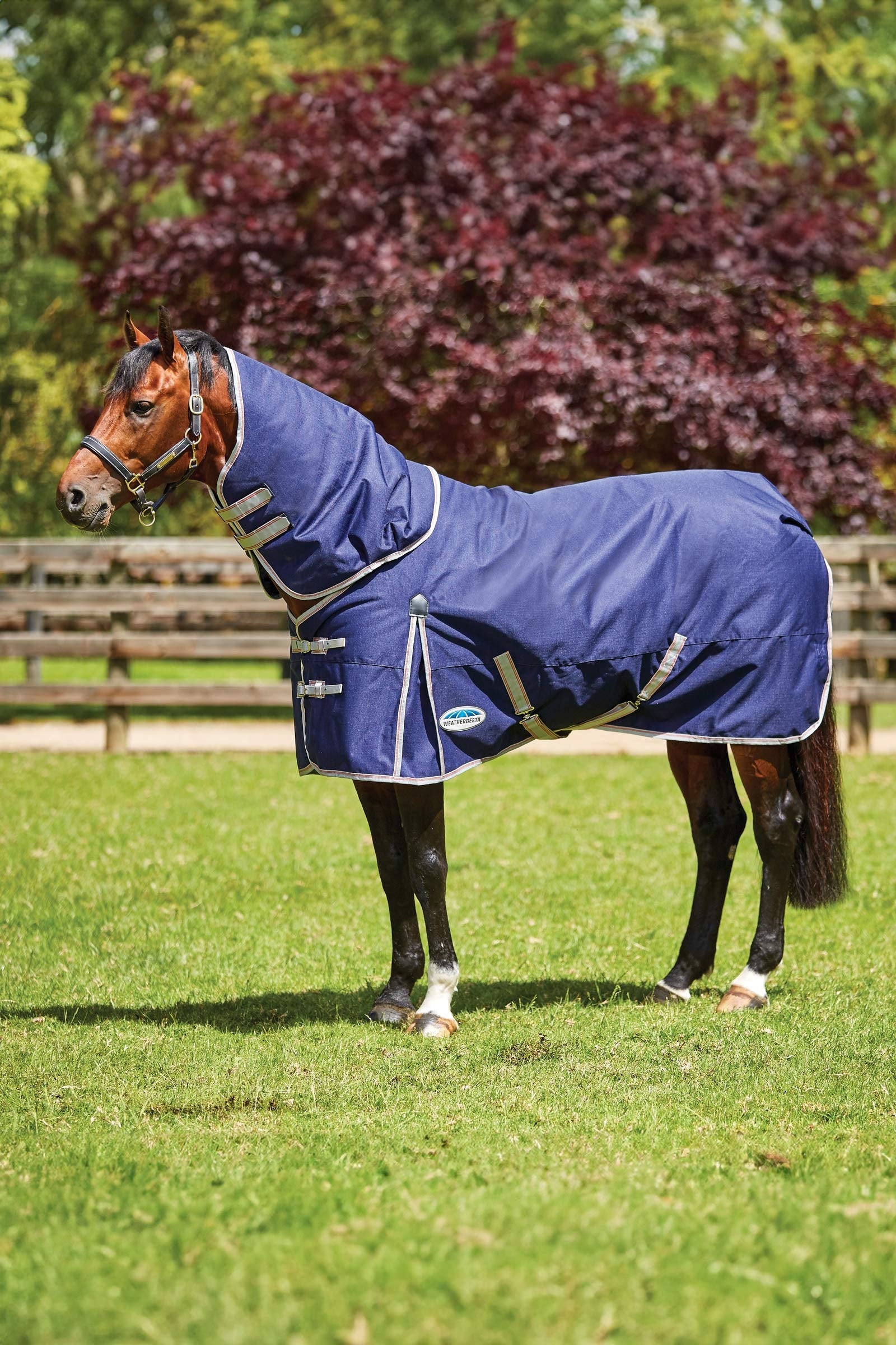 Weatherbeeta Comfitec Essential Detach-a-Neck Medium Turnout Rug, 220g Paardendekens