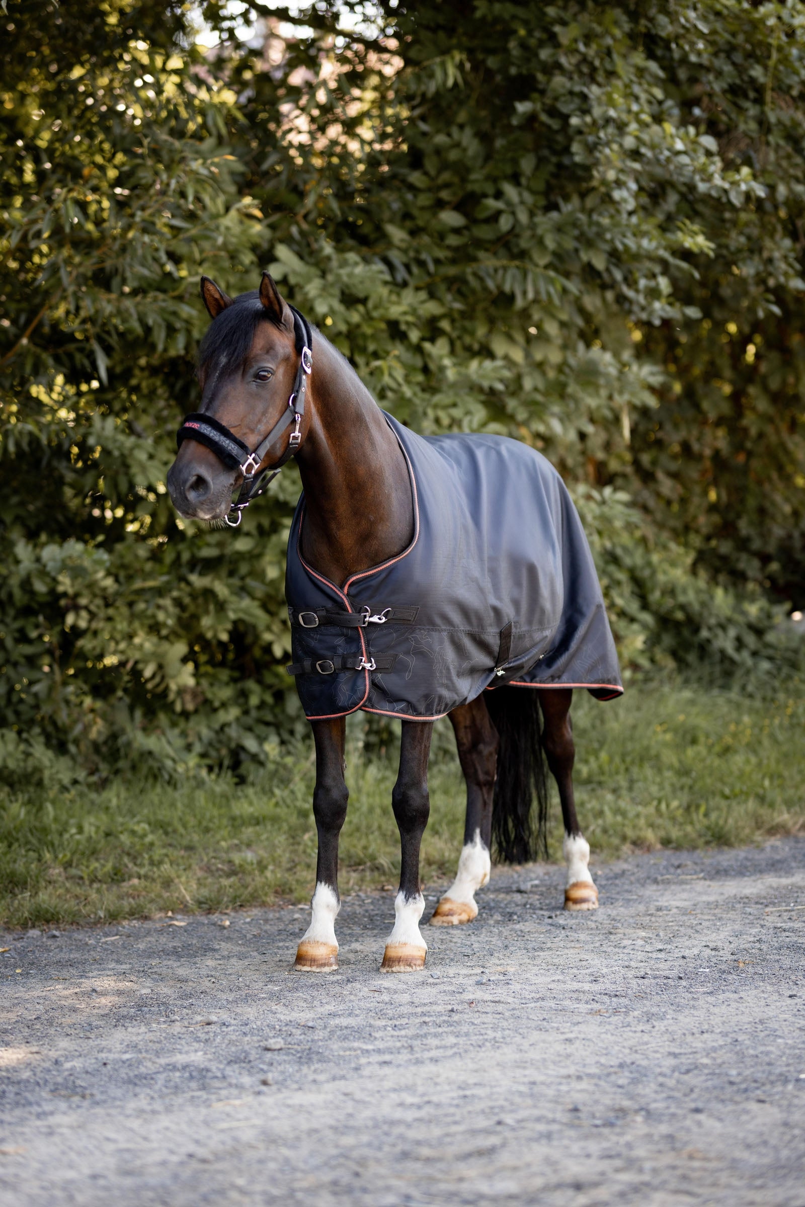 Horze Pegasus Pony turnout fleece lined Horse Rugs