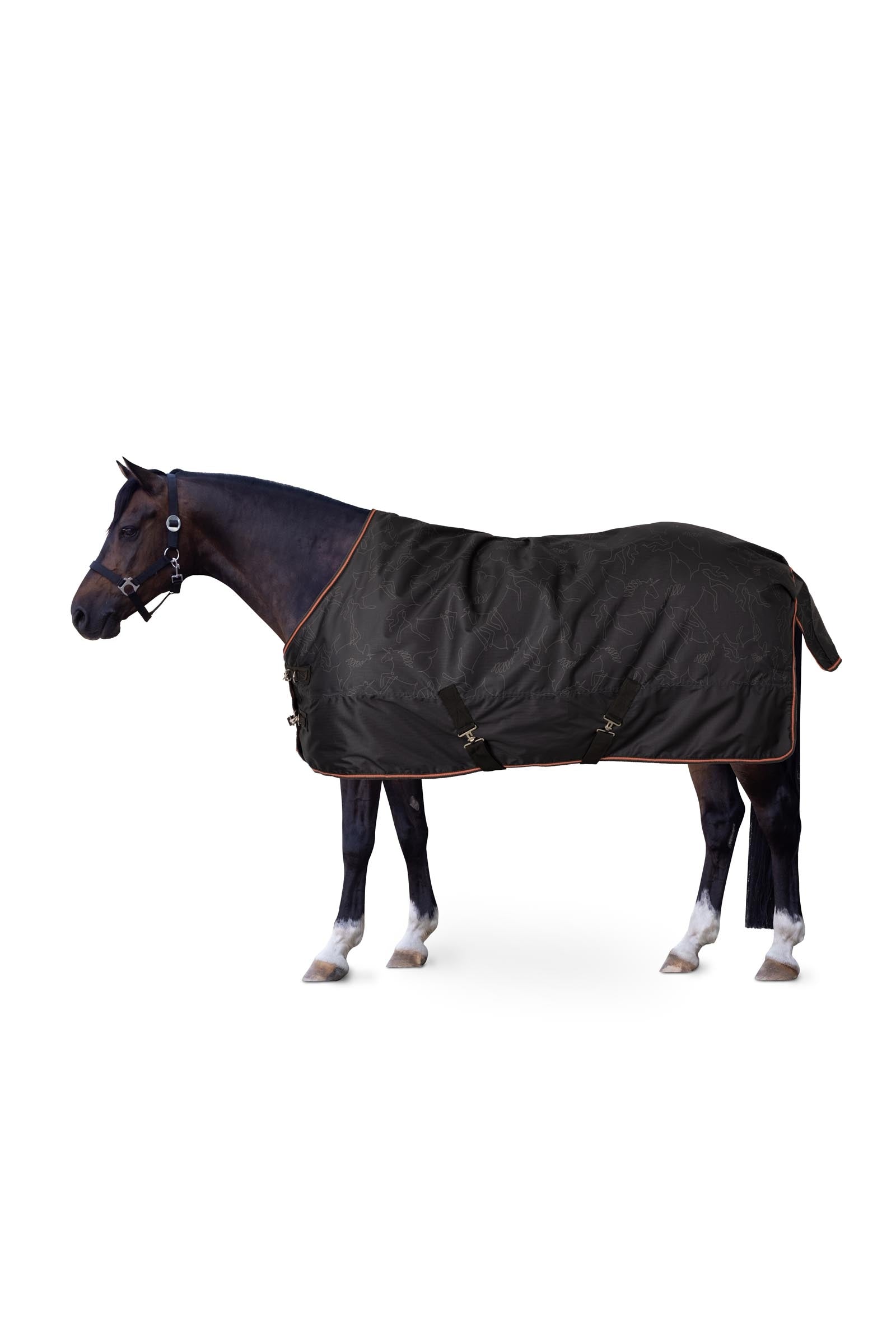 Horze Pegasus pony regendeken 200 g/m² Paardendekens