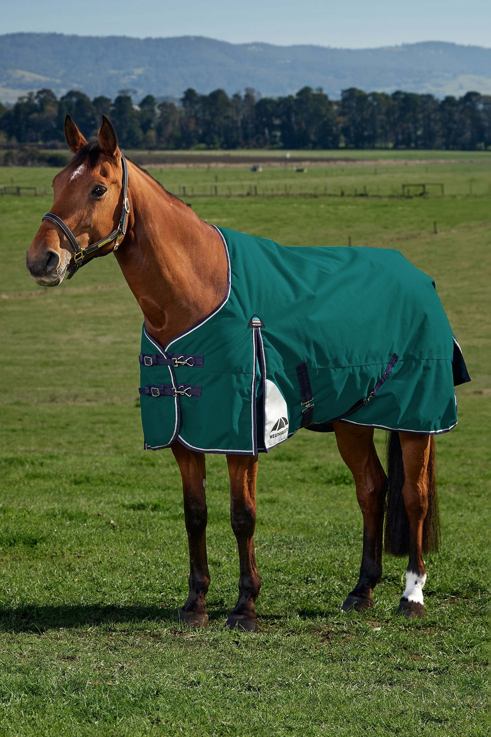 Weatherbeeta ComFiTecPlus Dynamic Turnout Standard Neck 0G Paardendekens