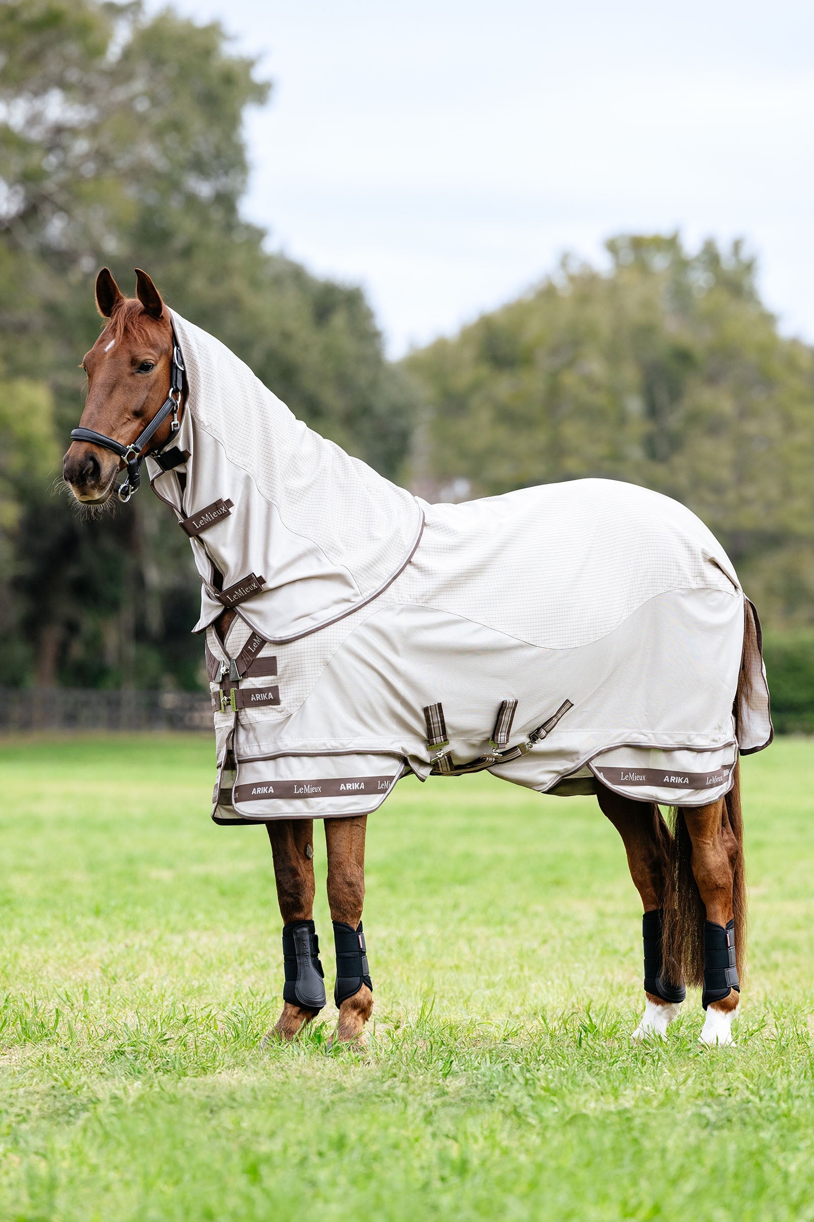 LeMieux Arika 450D Sunstopper outdoordeken met afneembaar halsstuk, 0 g Paardendekens