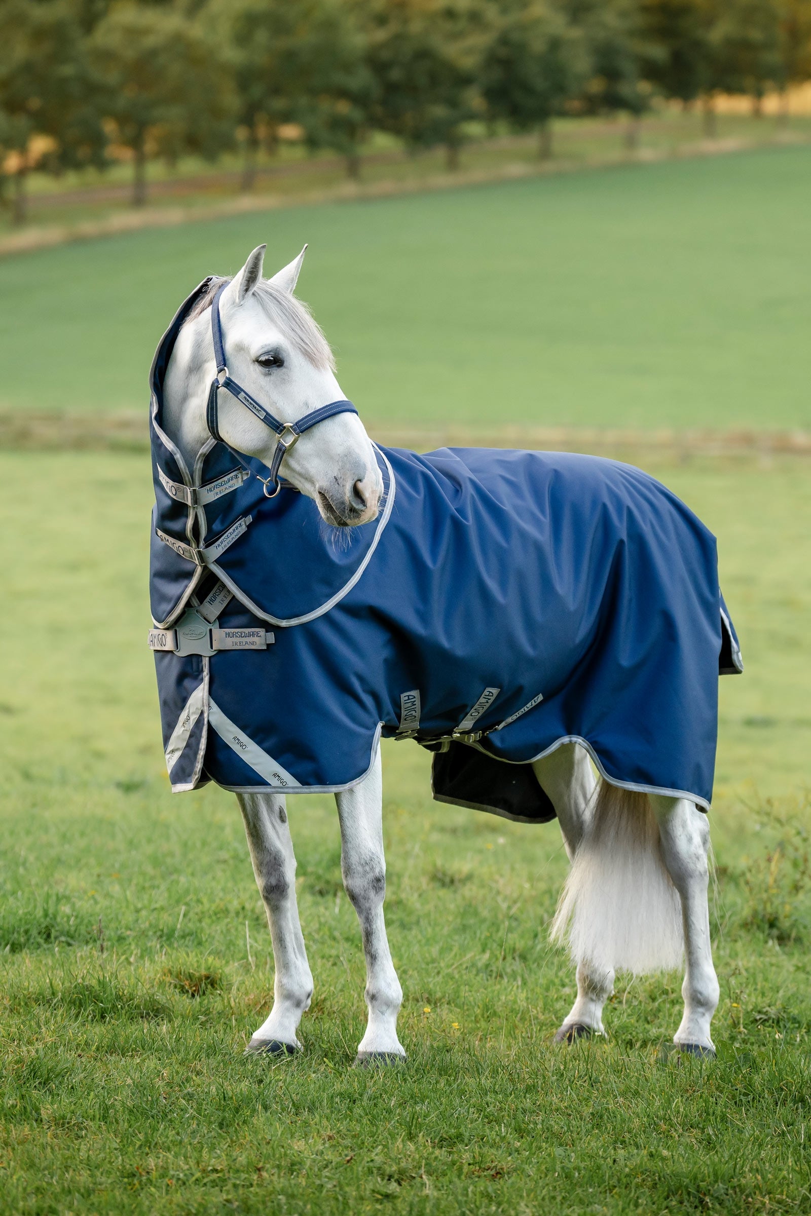 Horseware Amigo 1200D FieldSafe Plus turnoutdeken, 100 g Paardendekens