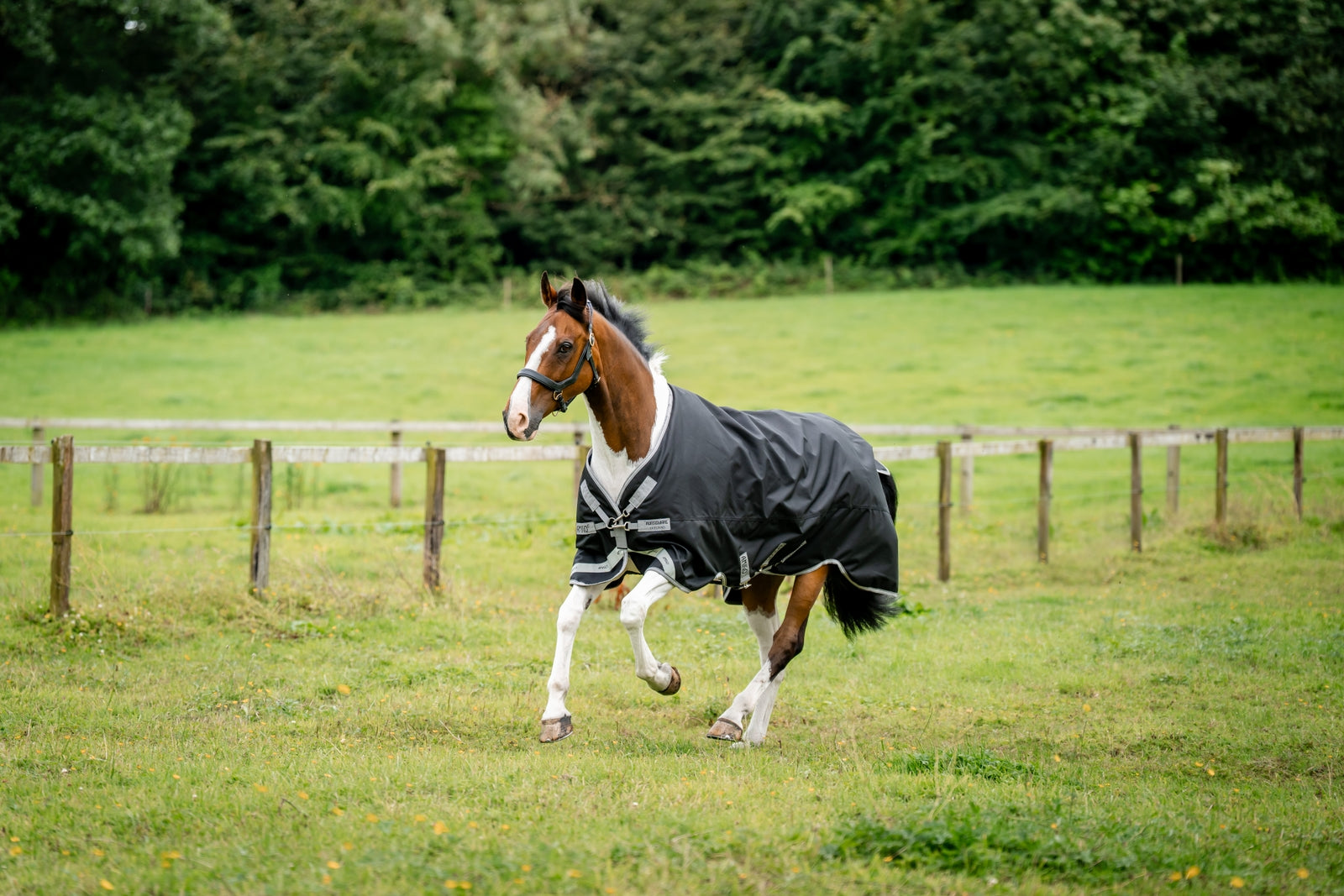 Horseware Amigo 1200D turnoutdeken, 100 g Paardendekens
