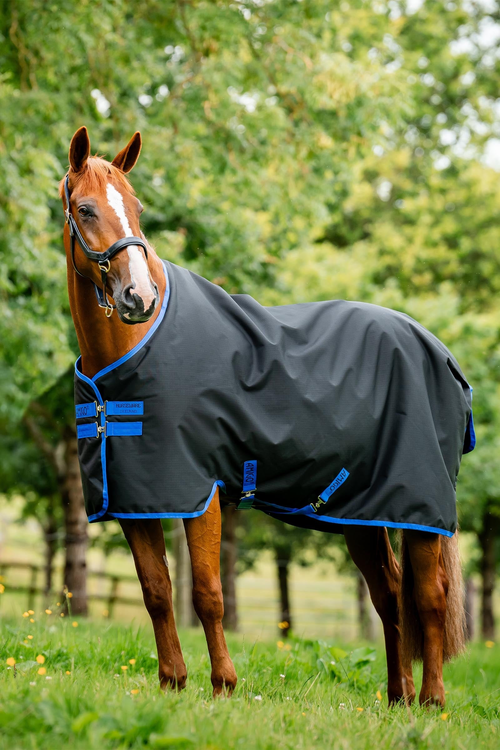 Horseware Amigo Ripstop 900D turnoutdeken met fleecevoering, 50 g Paardendekens