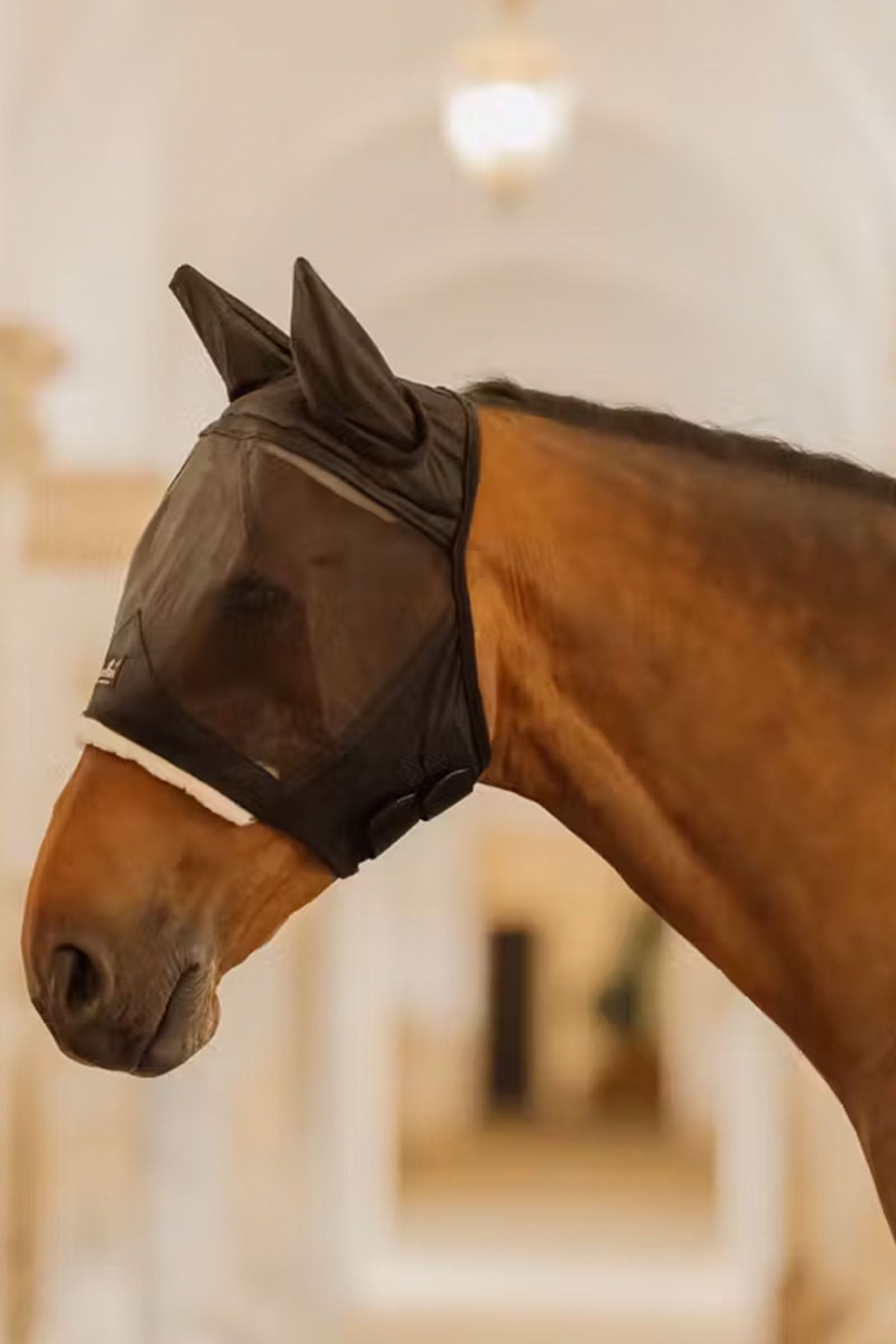 Kentucky Horsewear Fly mask skin friendly with ears Antifly Protection for Horses