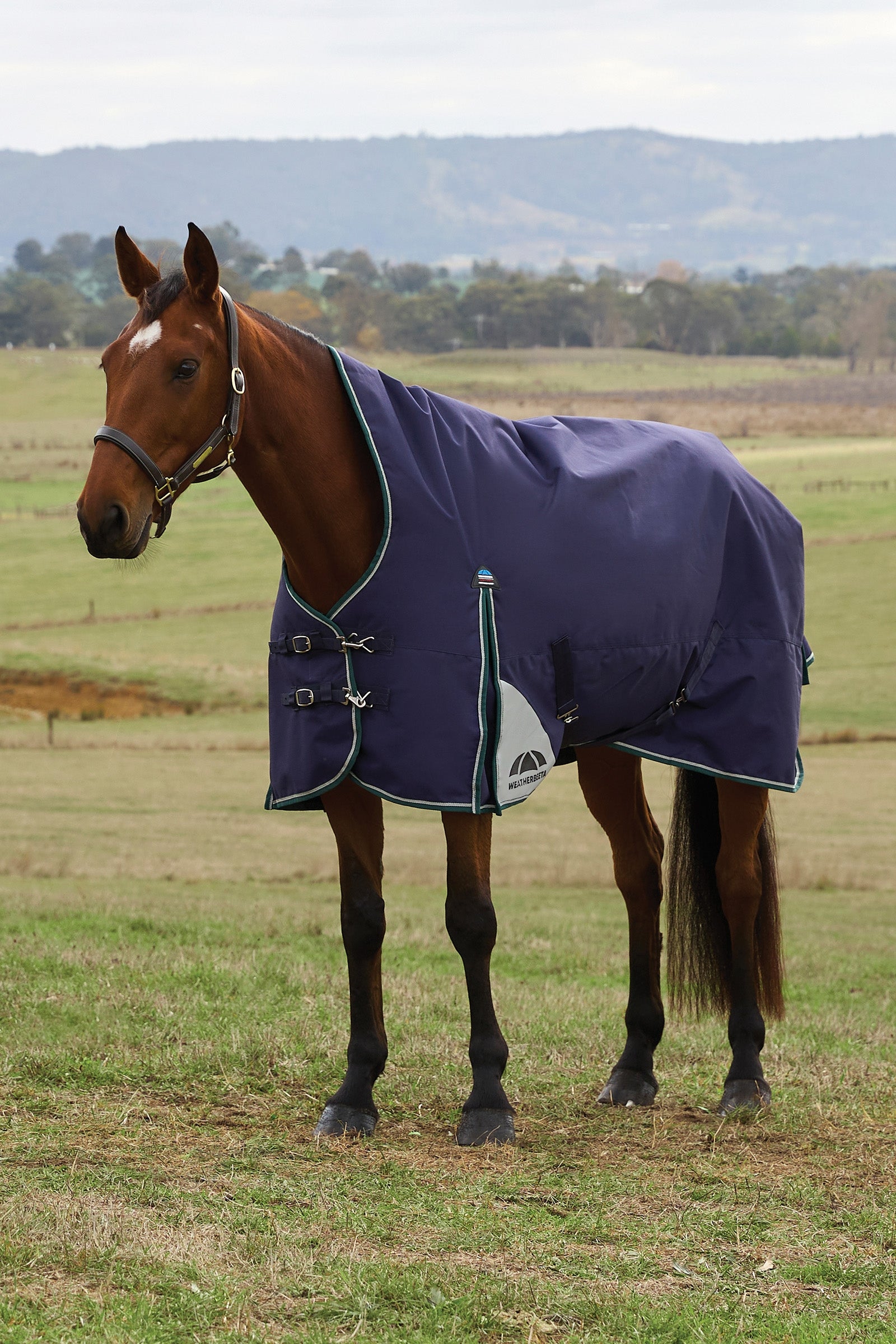 Weatherbeeta ComFiTecPlus Dynamic Turnout High Neck 100G Paardendekens