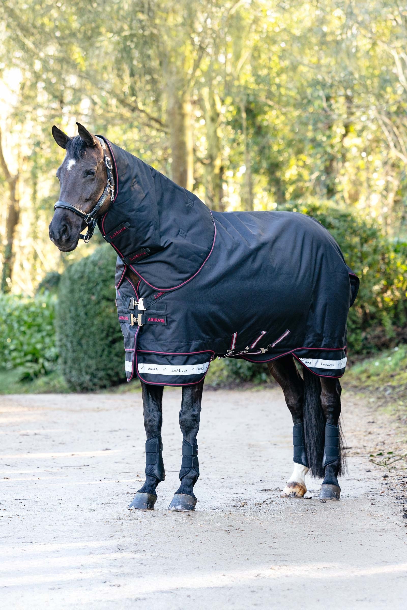 LeMieux Arika Storm-Tek regendeken met afneembaar halsdeel, 100 g Paardendekens