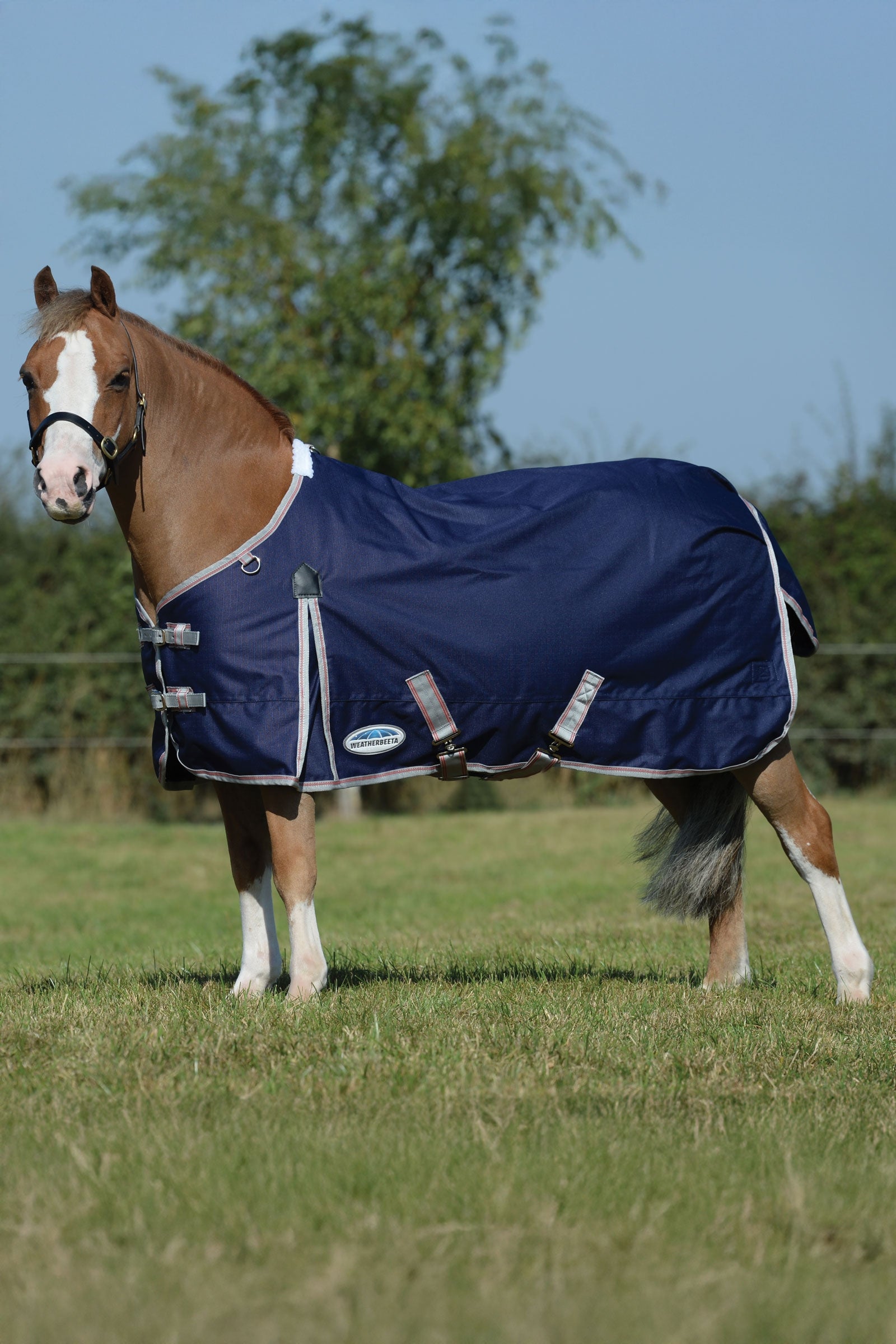 Weatherbeeta Comfitec Essential Plus outdoordeken, 50g Paardendekens