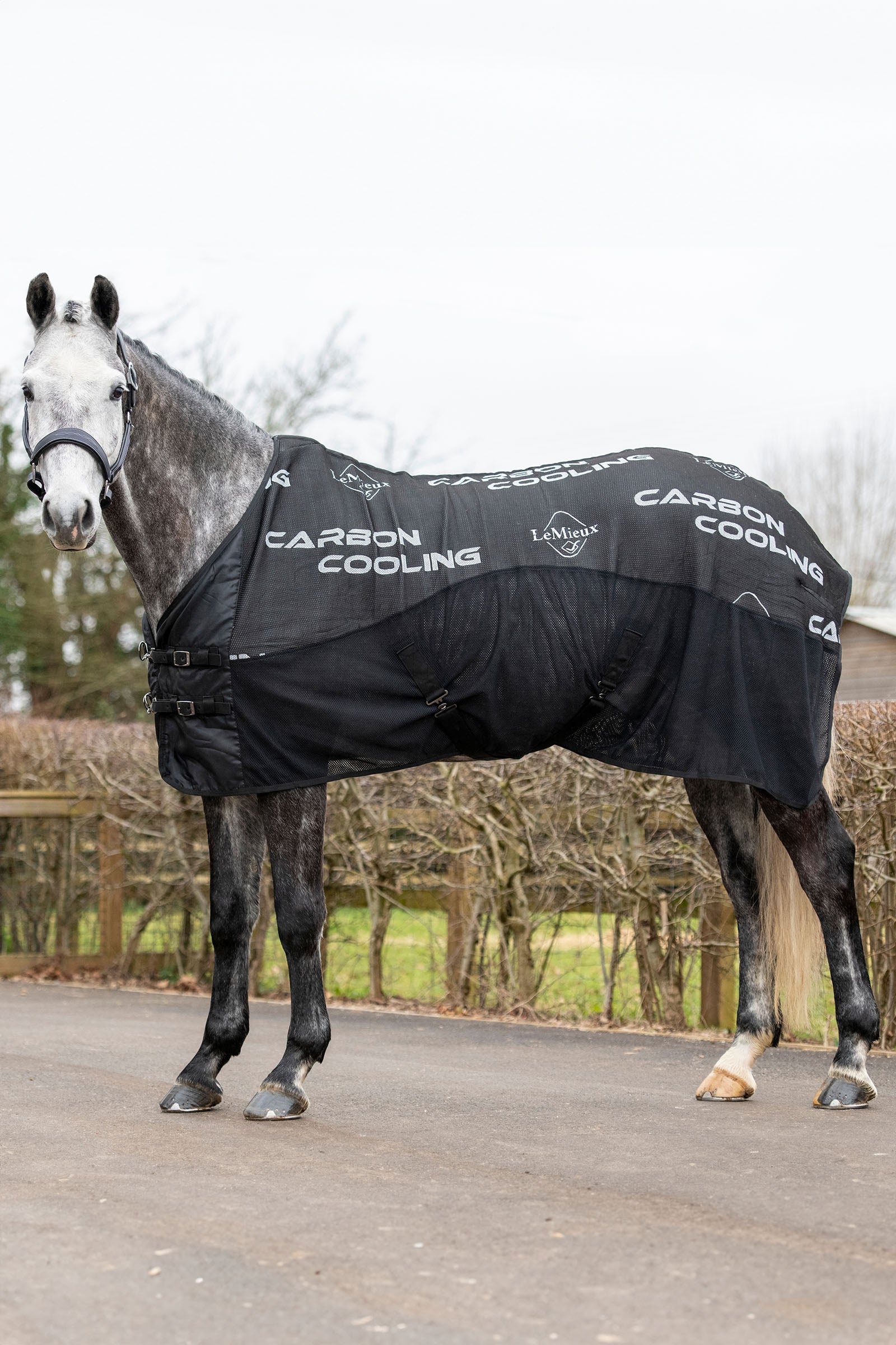 LeMieux carbon cooler deken Paardendekens