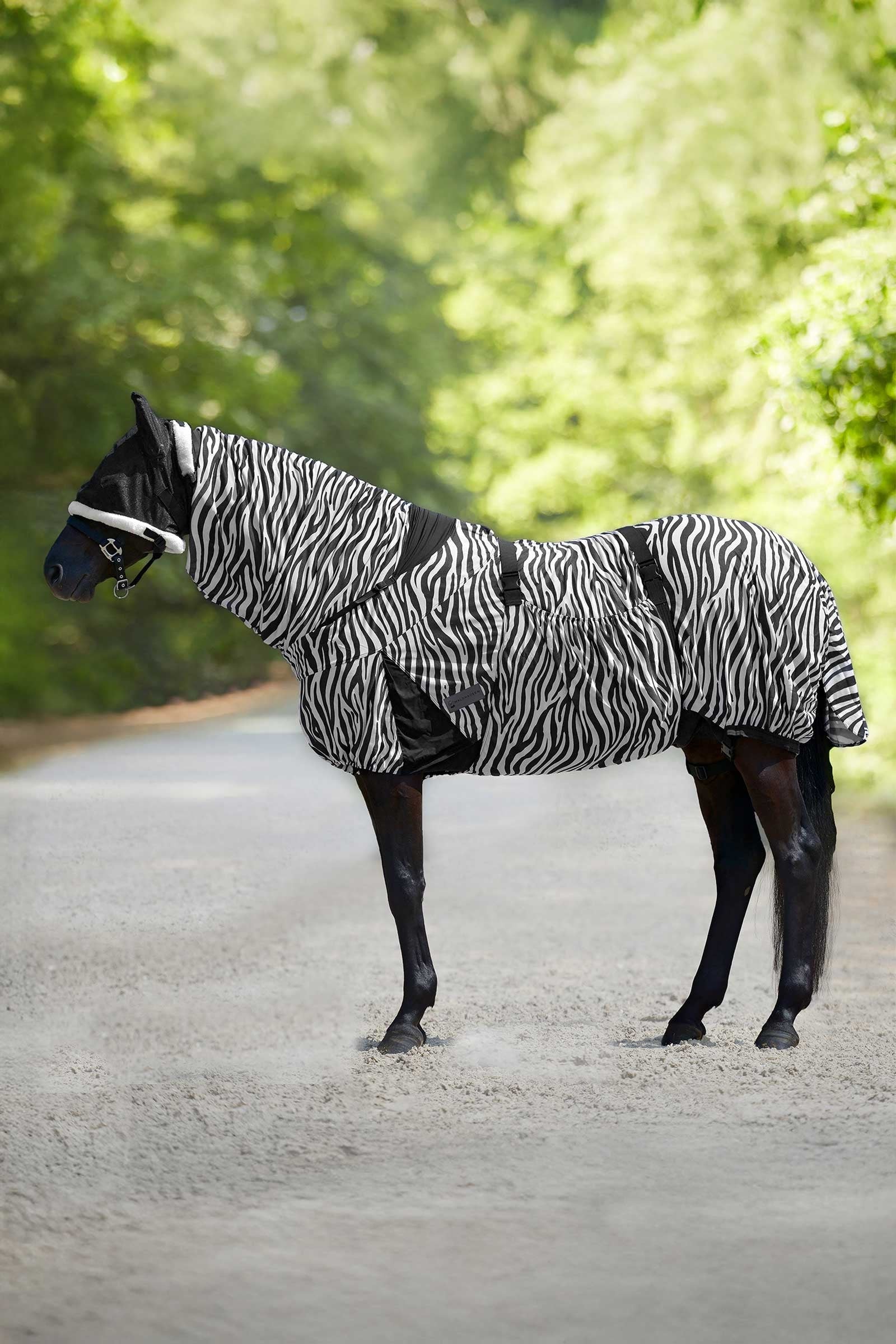 Waldhausen Zebra eksemdækken Paardendekens