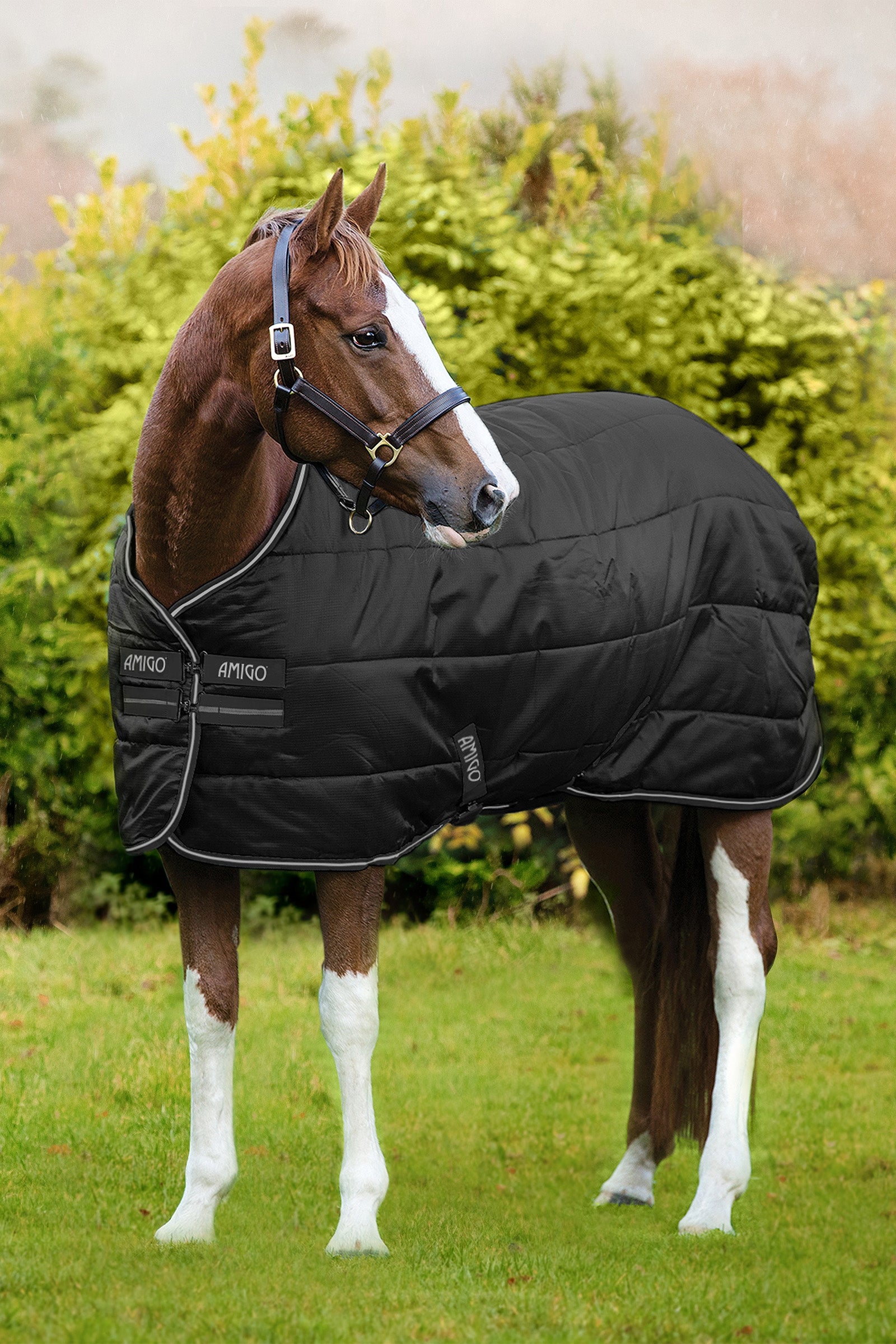 Horseware Amigo Ripstop Insulator staldeken, 200g Paardendekens