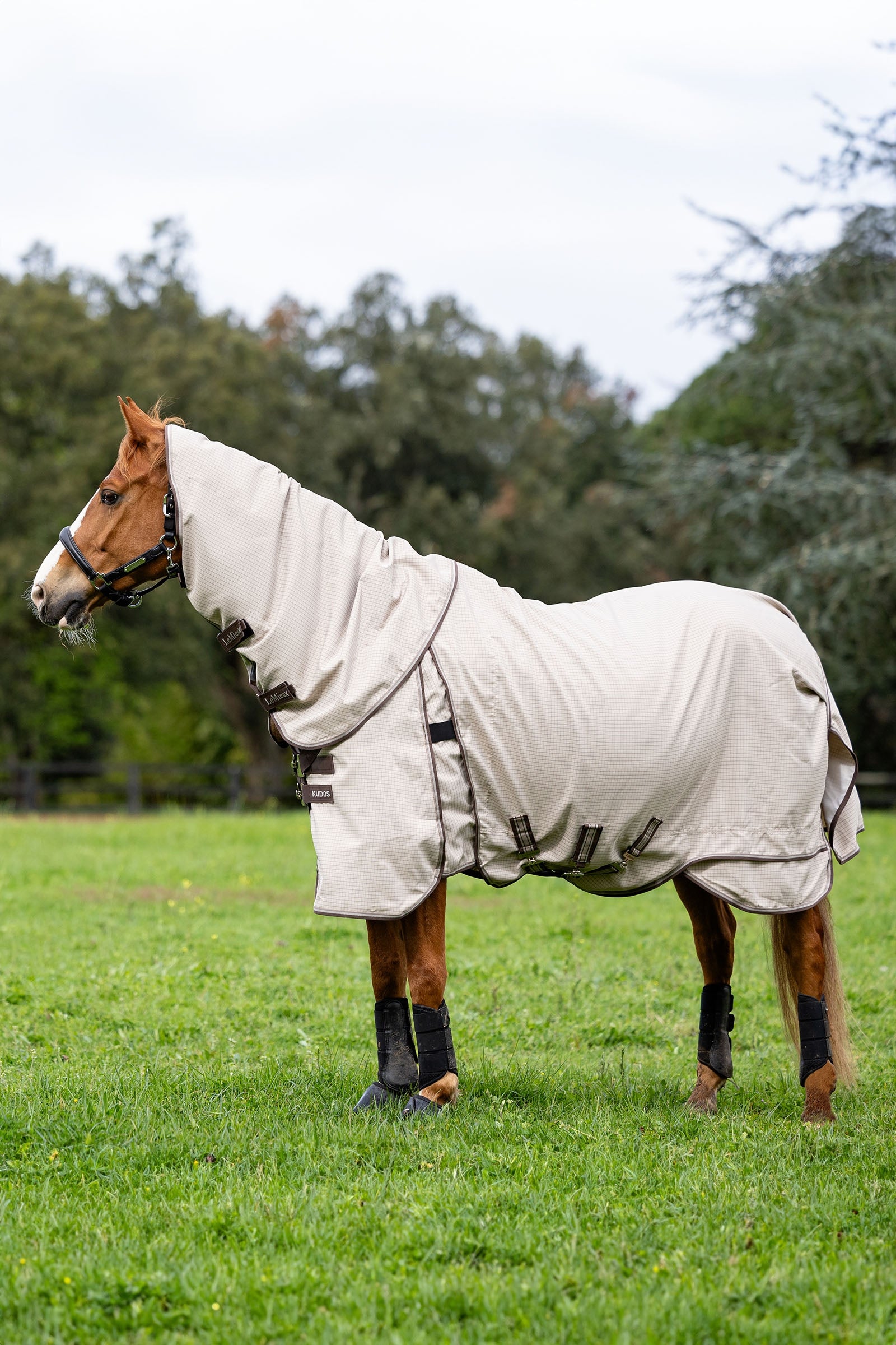 LeMieux Kudos weidedeken Paardendekens