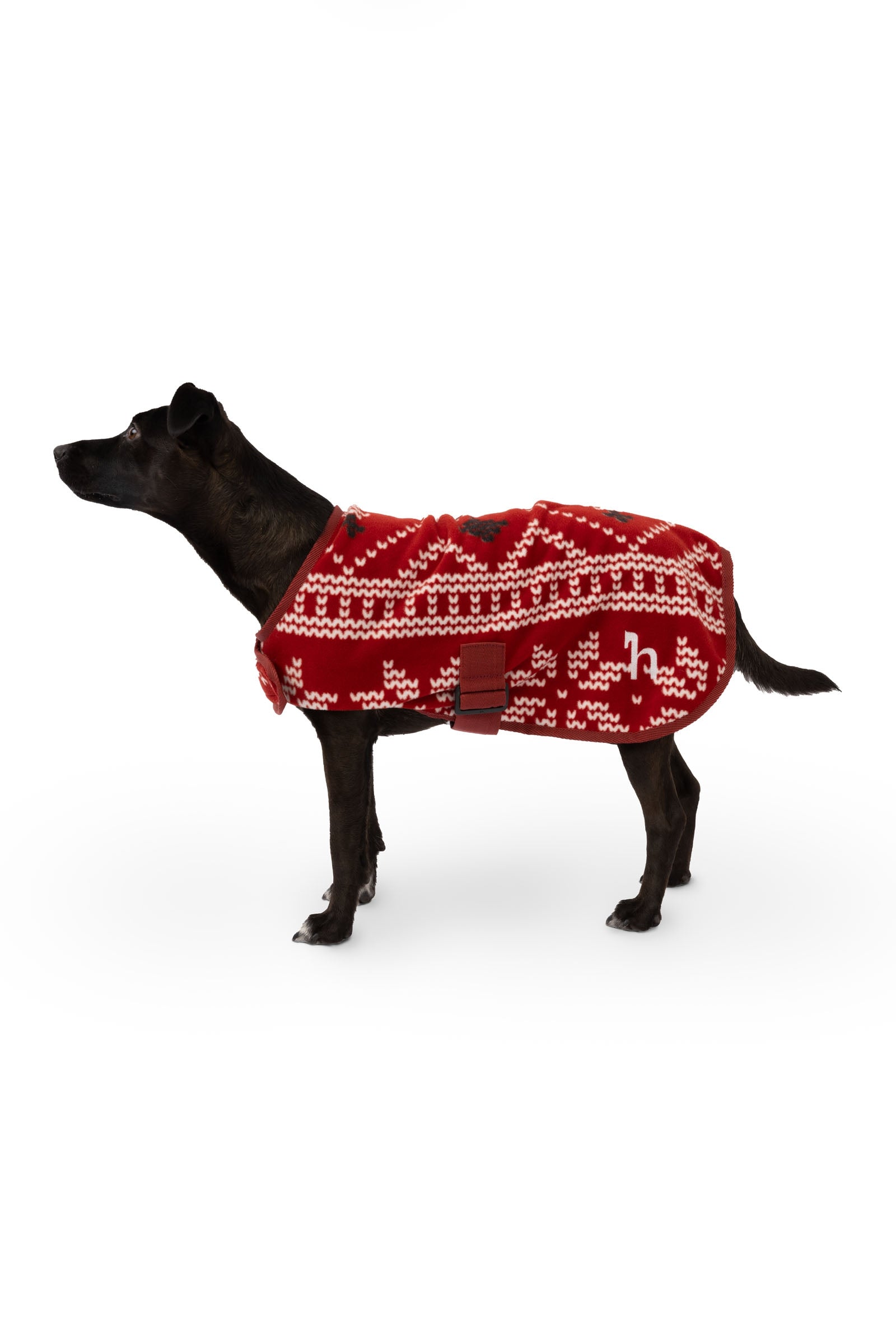 Horze kersttrui voor honden Hond