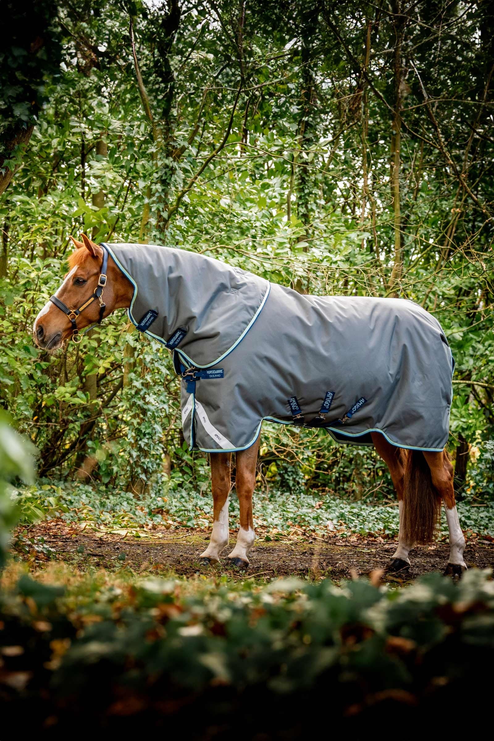 Horseware Amigo Bravo 12 Plus Turnout Rug With Detachable Neck, 400g Horse Rugs