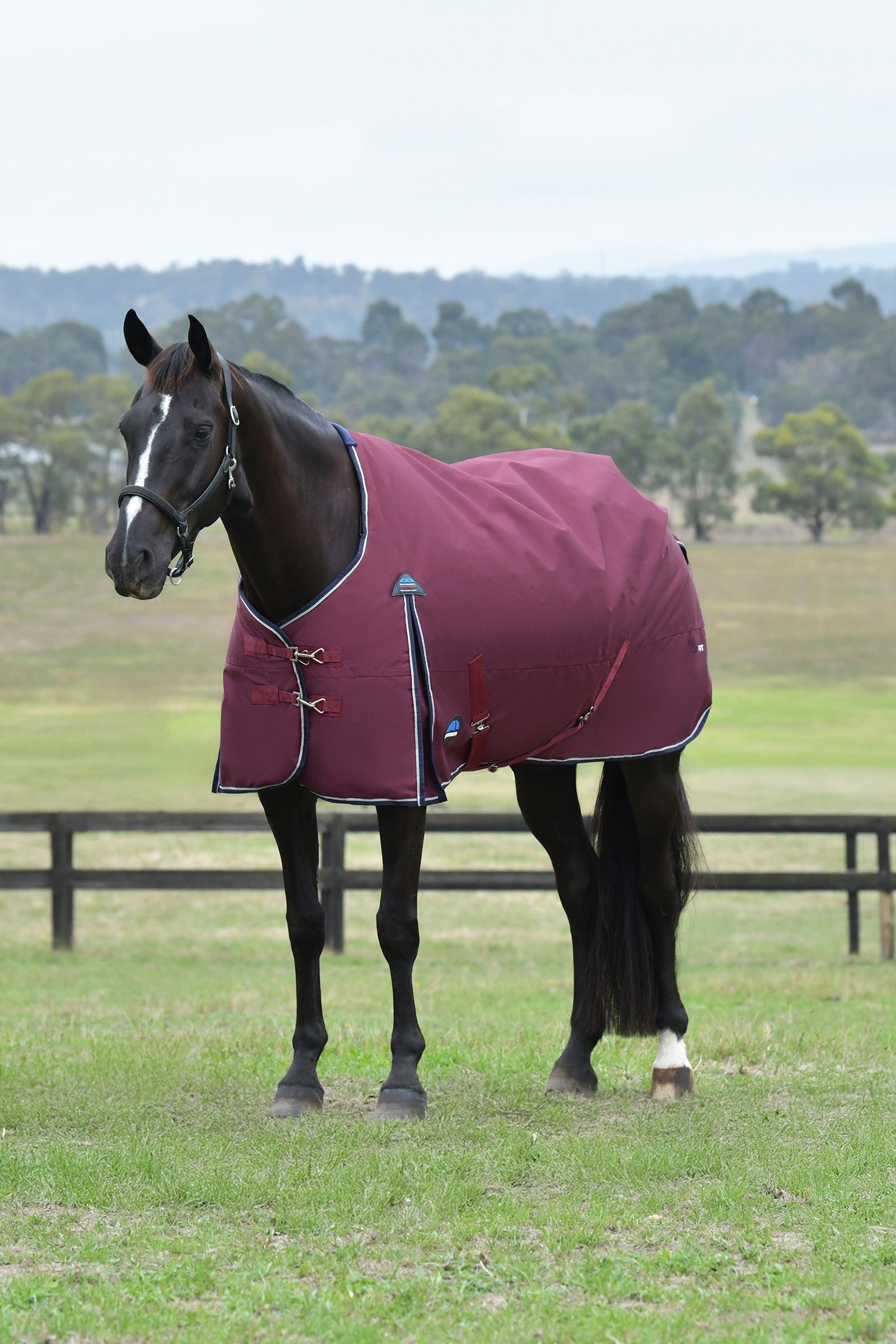 Weatherbeeta ComFiTec Essential Turnout Standard Neck 50G Paardendekens