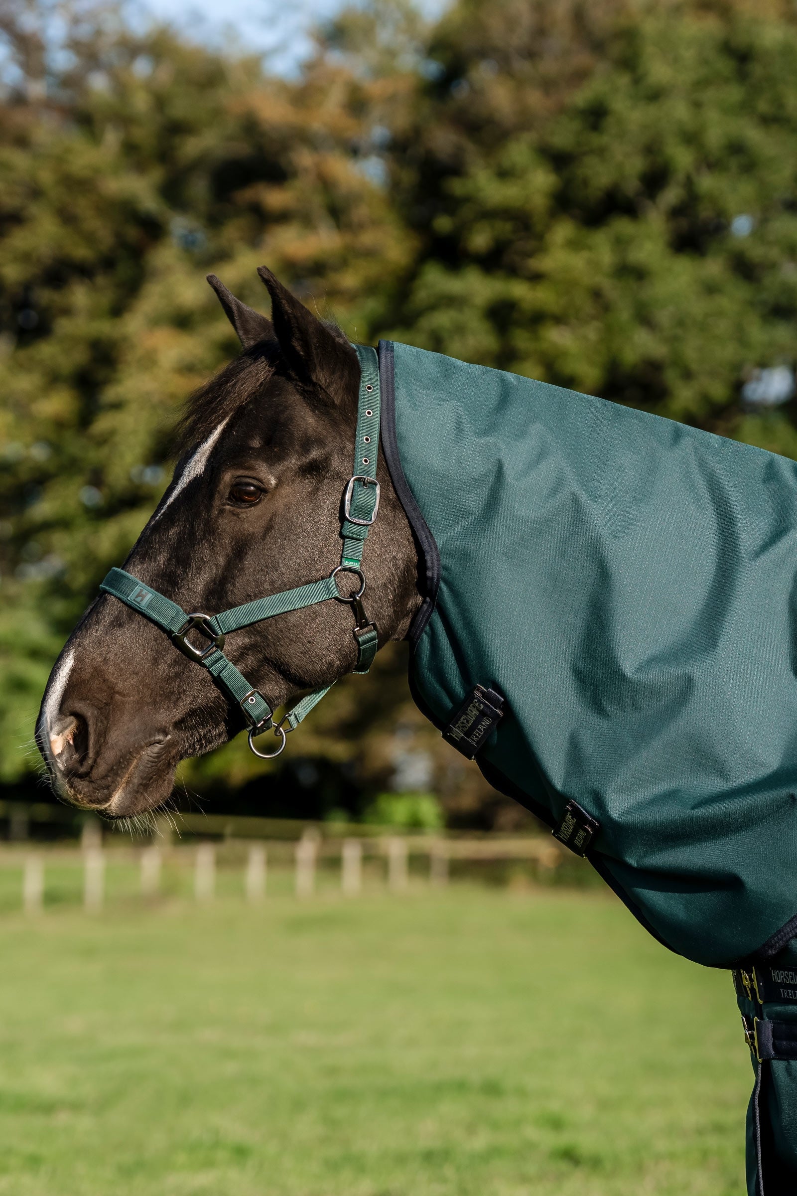 Horseware Amigo Ripstop 900D Plus Pony Turnout Rug, 200 g Horse Rugs