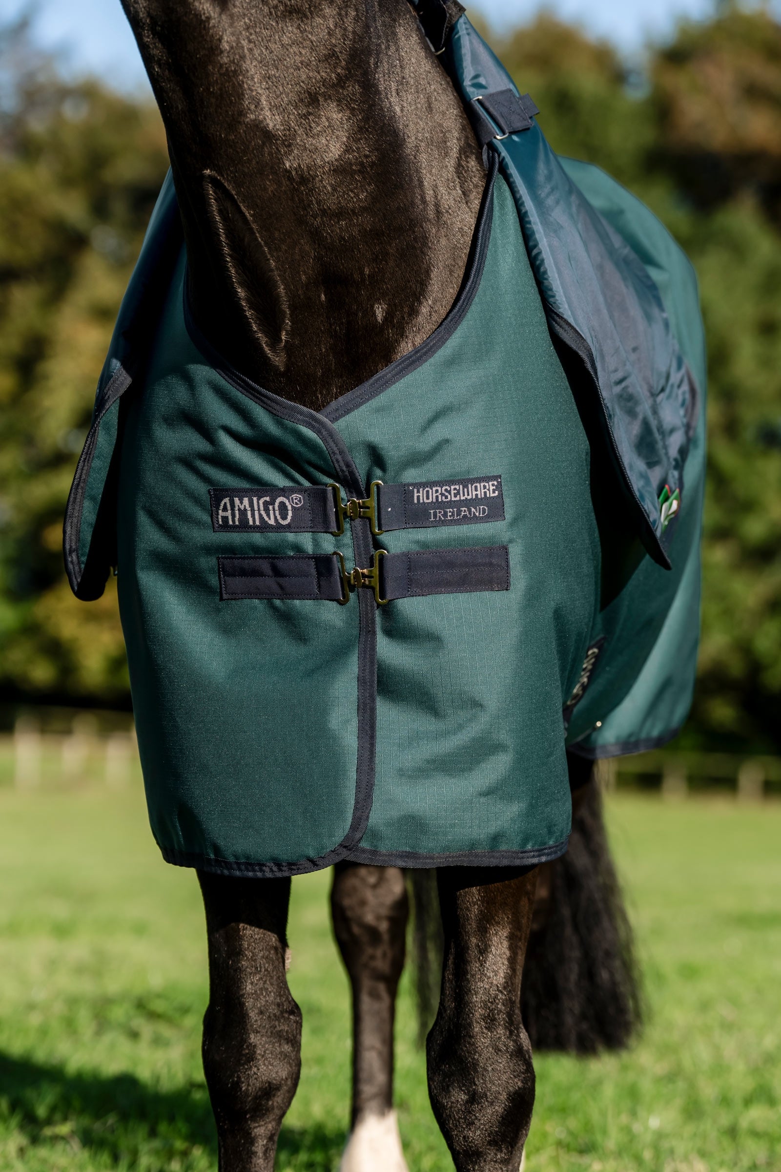 Horseware Amigo Ripstop 900D Plus Pony Turnout Rug, 200 g Horse Rugs